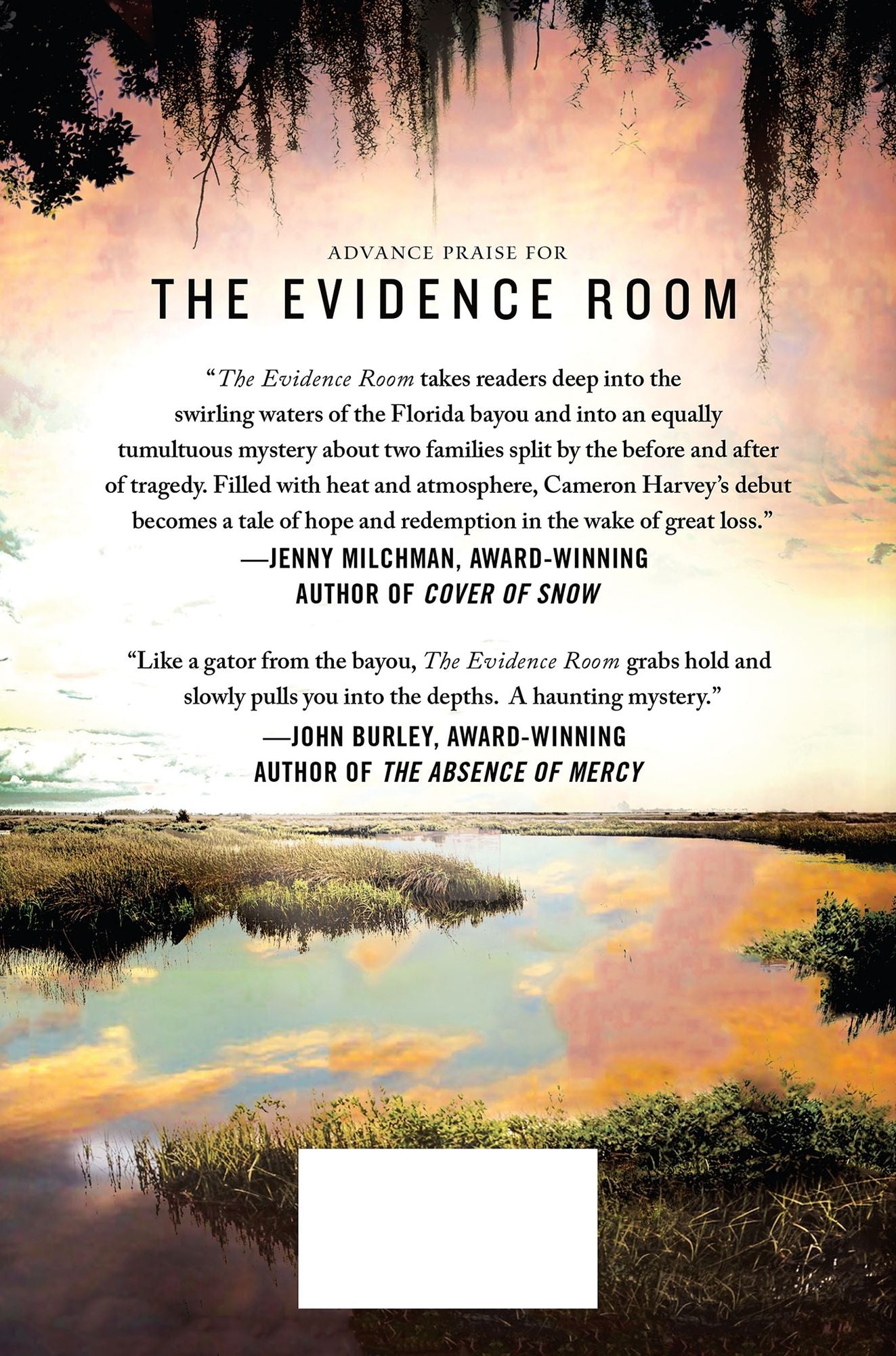 The Evidence Room: A Mystery