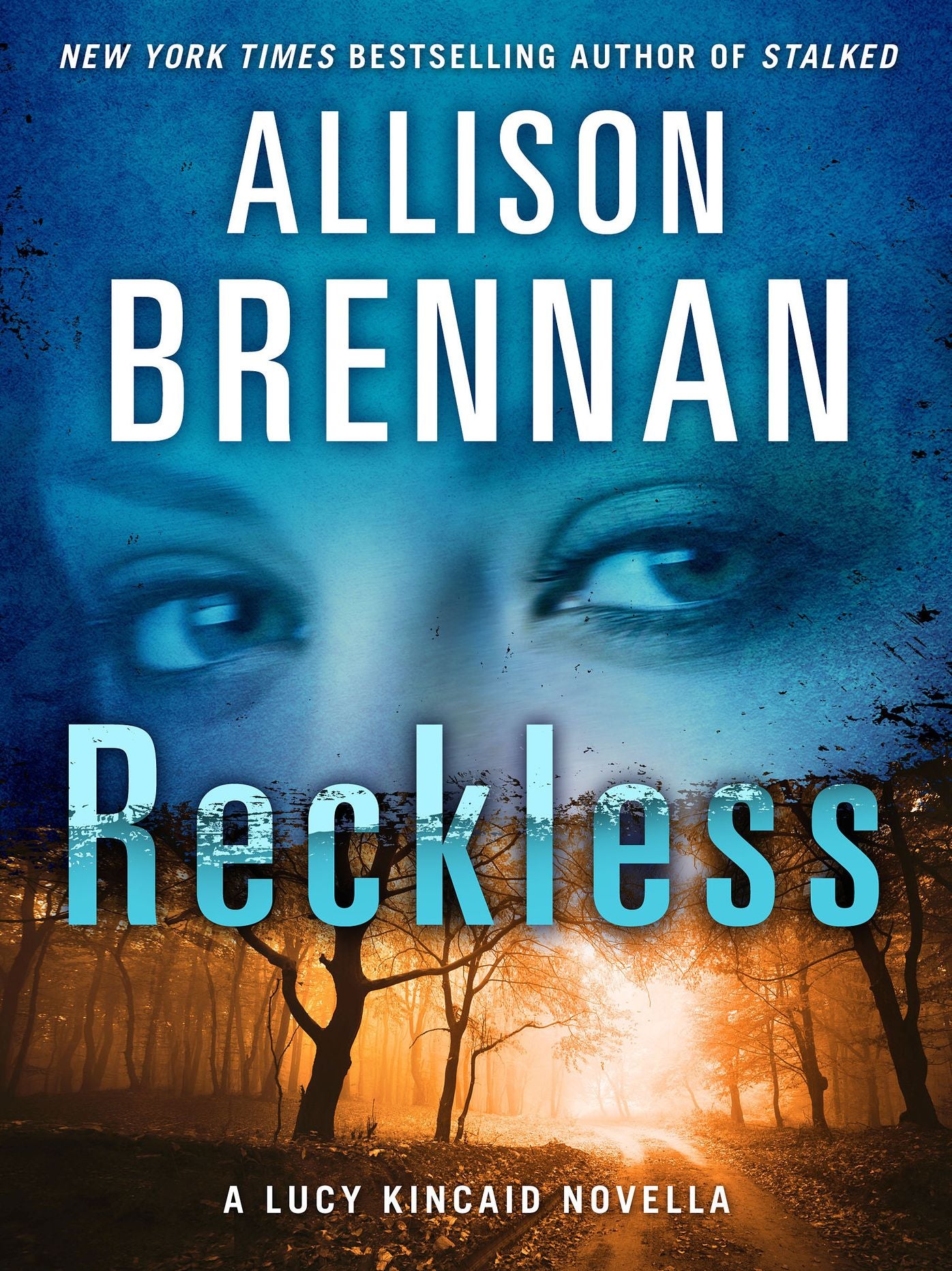 Reckless (Lucy Kincaid Series)
