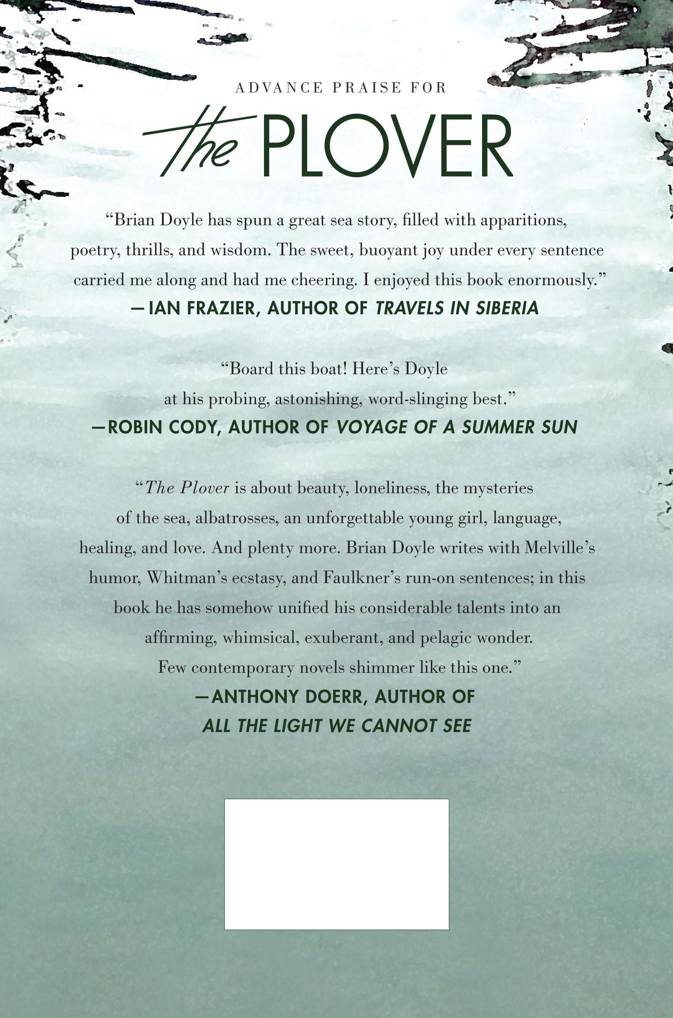The Plover: A Novel