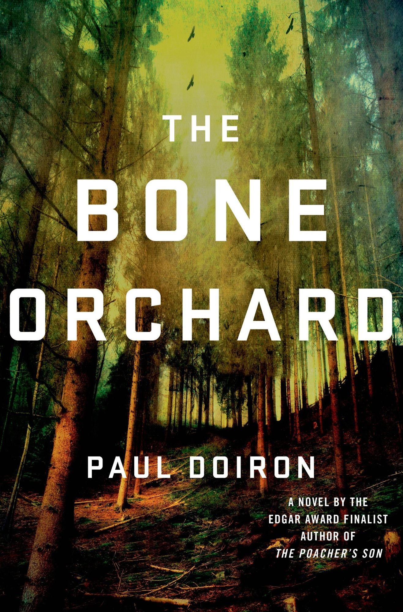 The Bone Orchard (Mike Bowditch Series #5)
