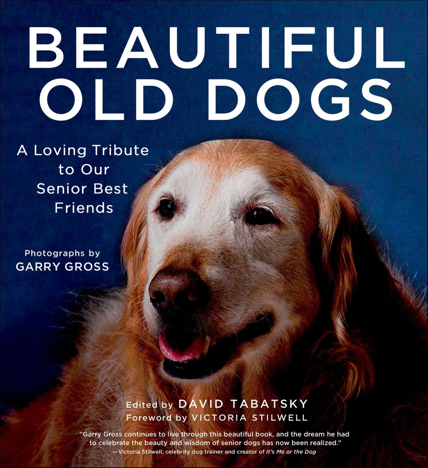 Beautiful Old Dogs: A Loving Tribute to Our Senior Best Friends