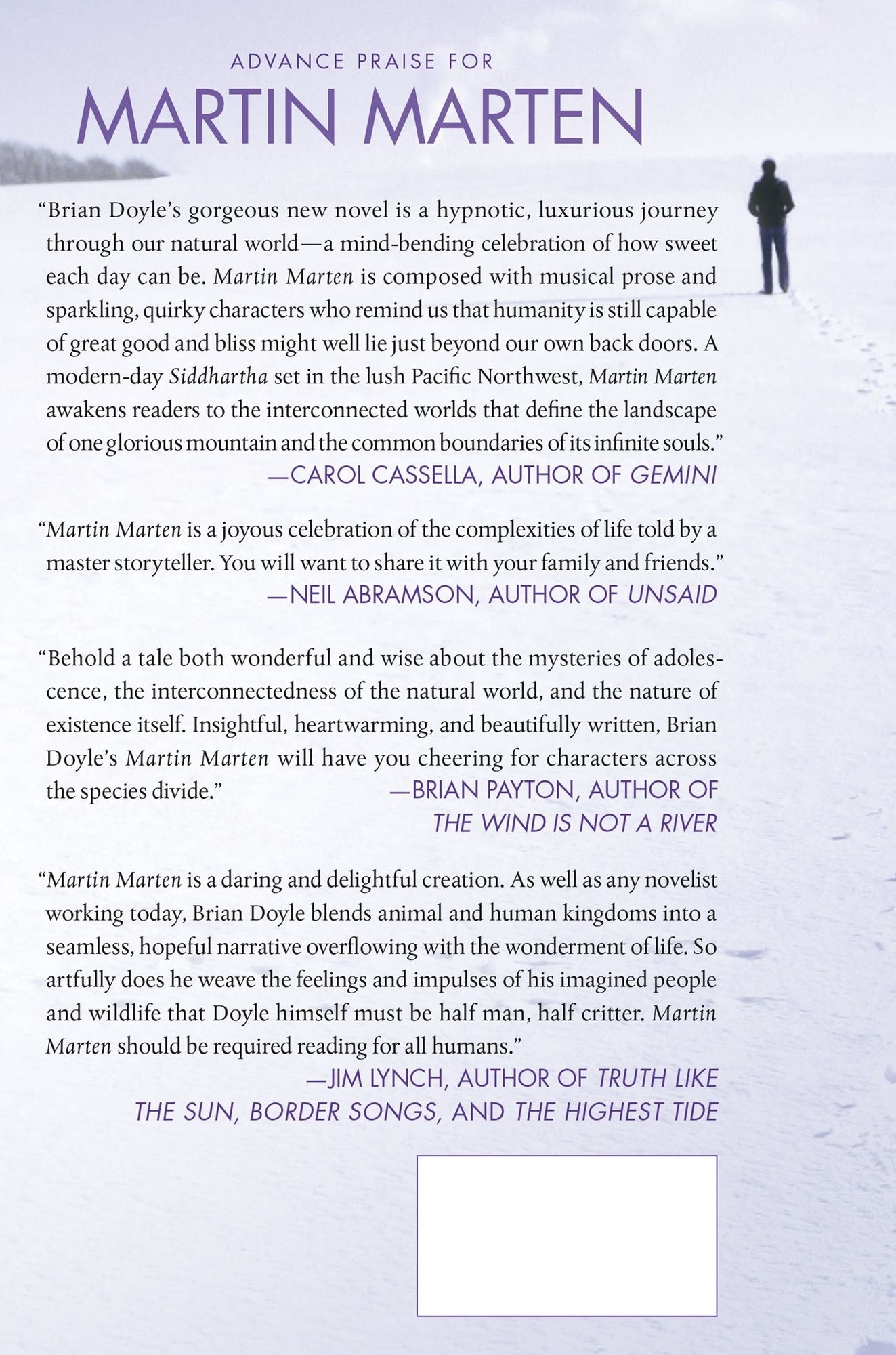 Martin Marten
