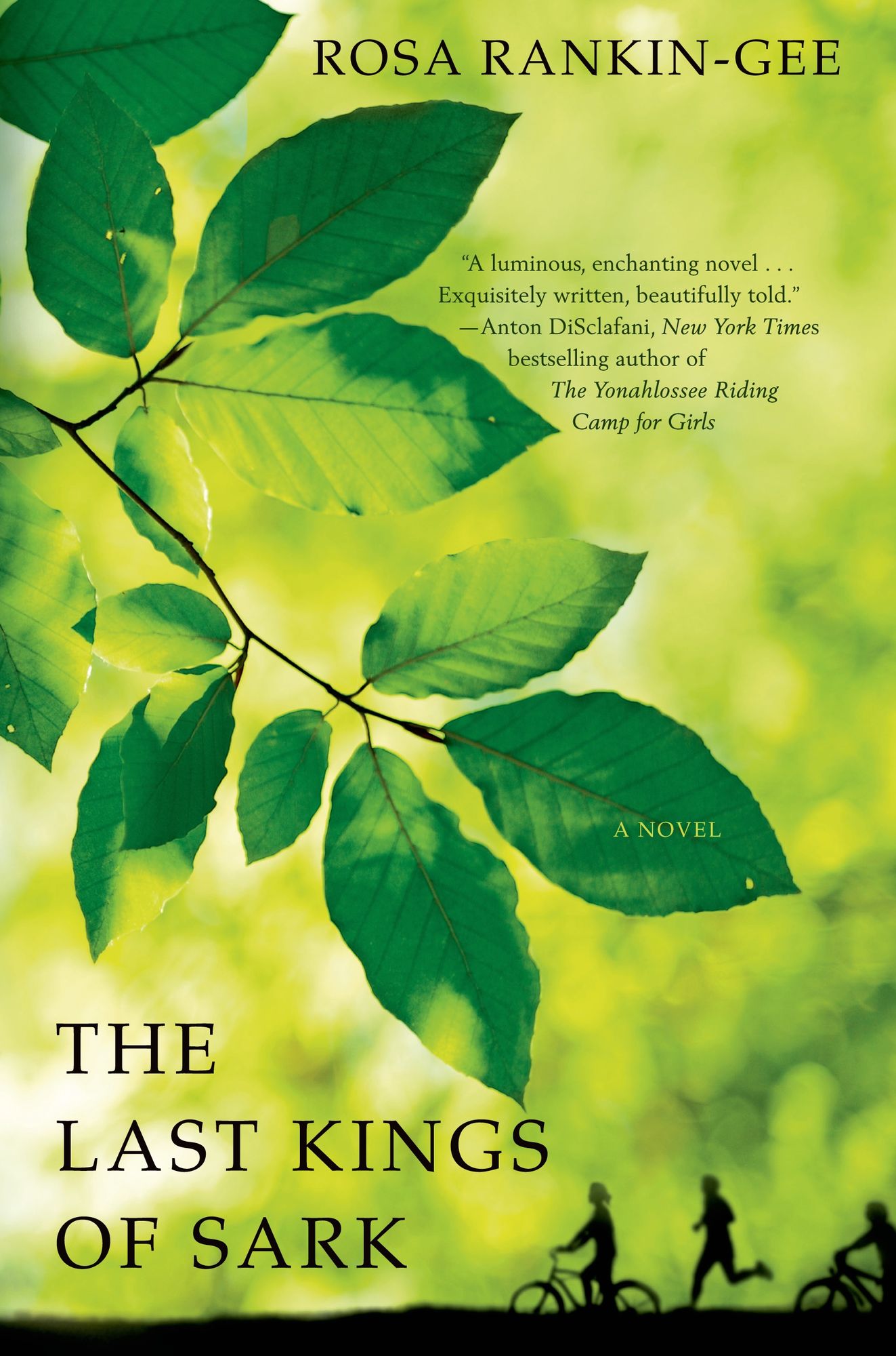 The Last Kings of Sark: A Novel