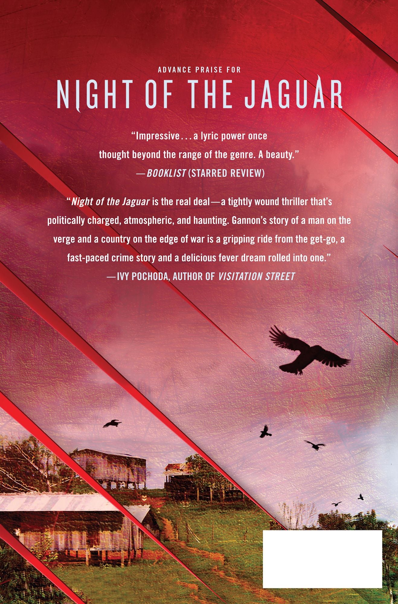 Night of the Jaguar: A Novel