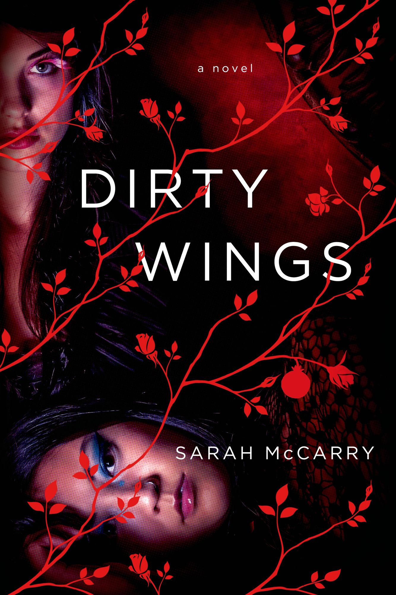 Dirty Wings: A Novel