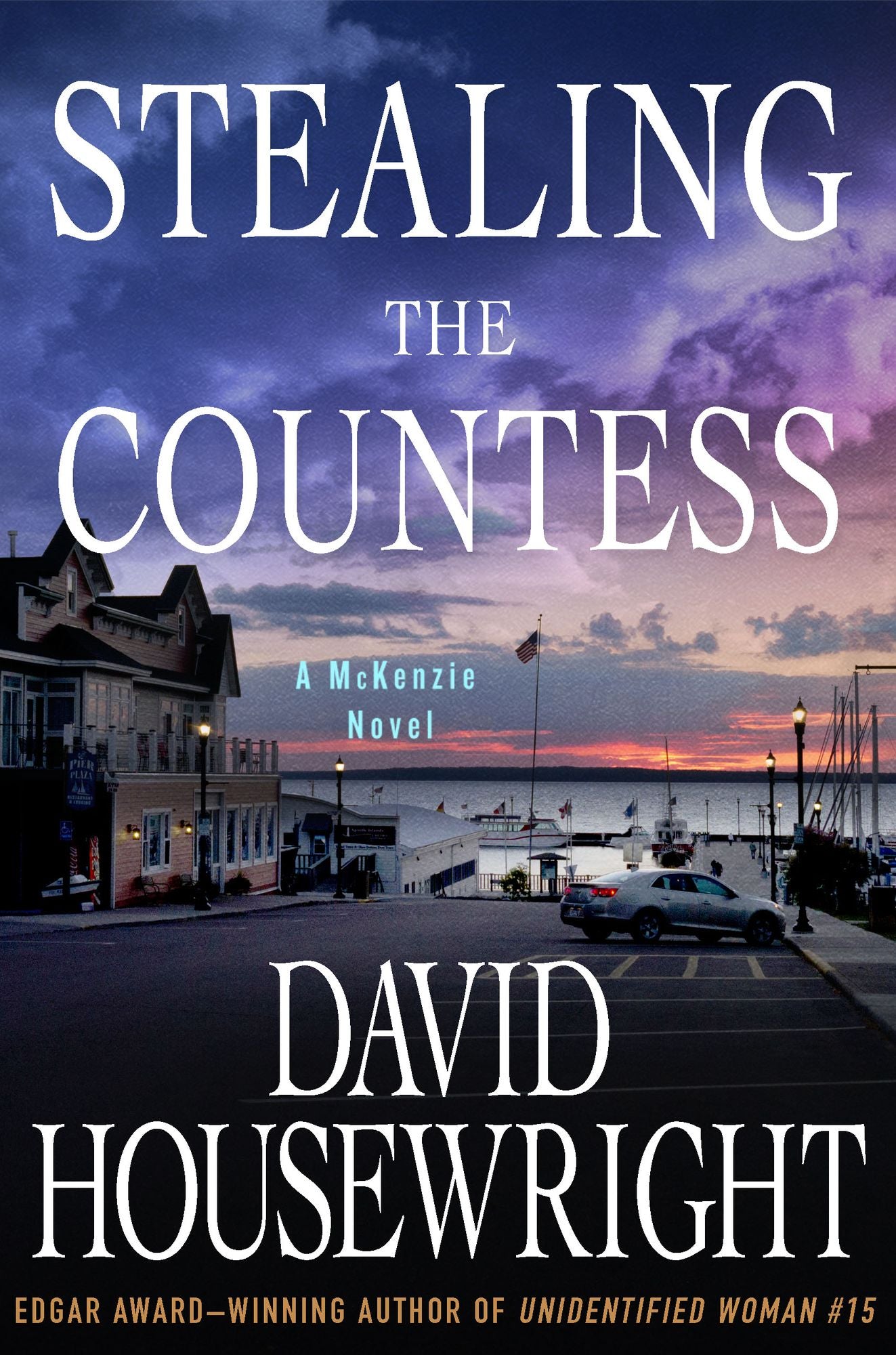Stealing the Countess (Rushmore McKenzie Series #13)