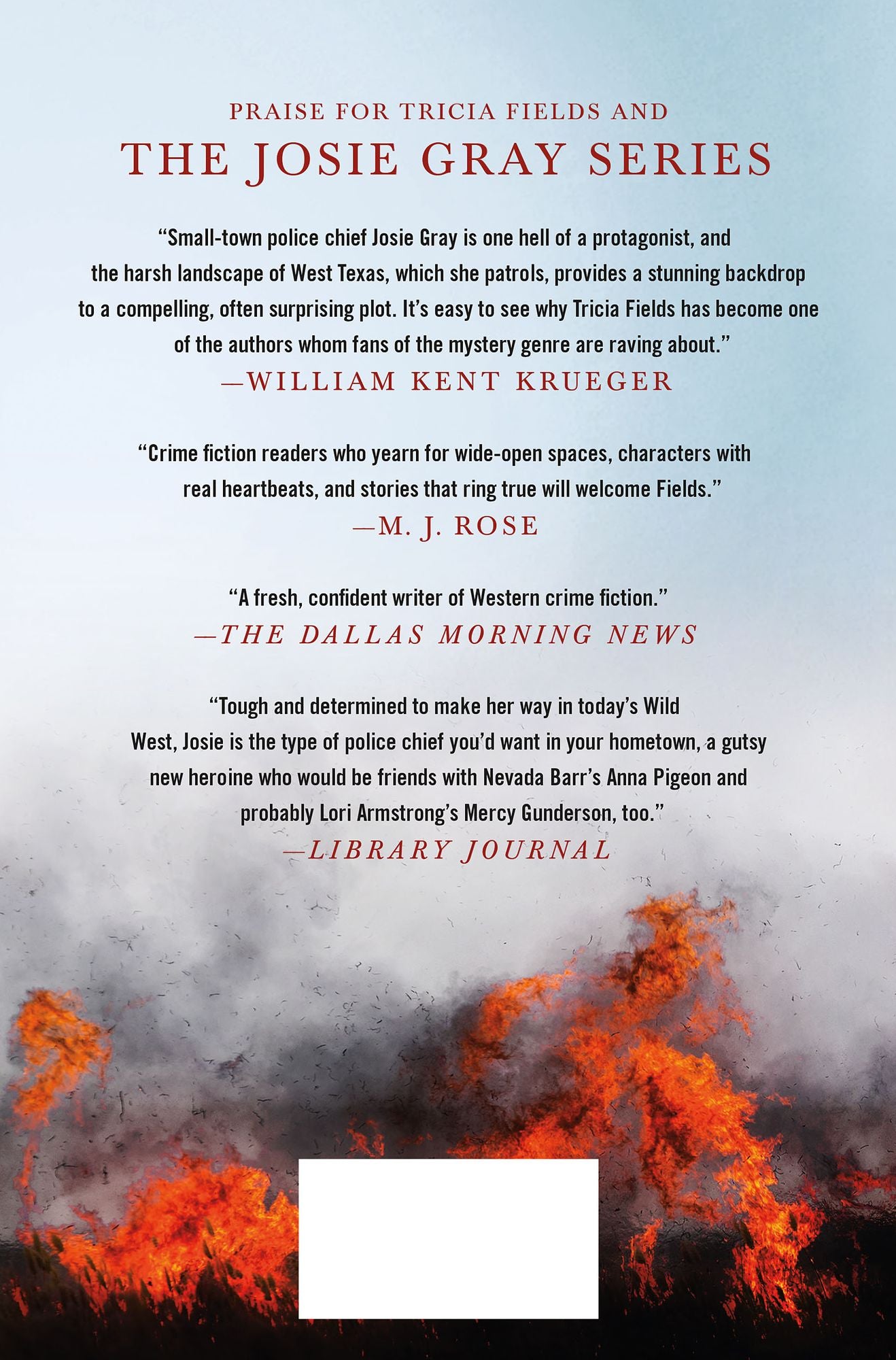Firebreak (Josie Gray Mysteries Series #4)