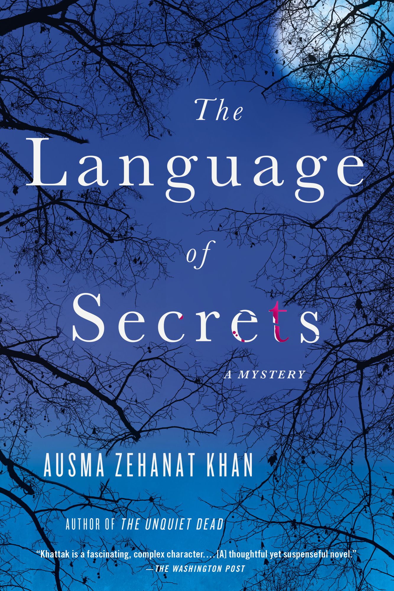 The Language of Secrets: A Novel