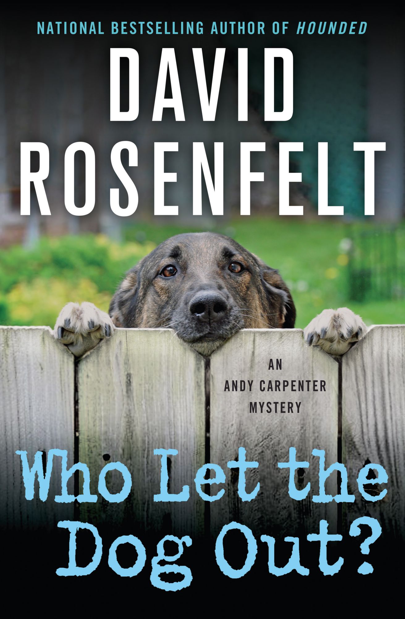 Who Let the Dog Out? (Andy Carpenter Series #13)