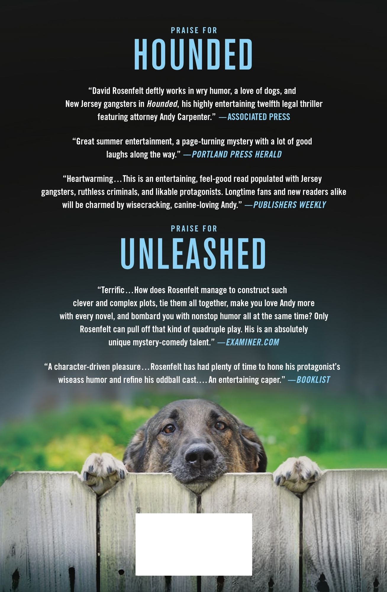 Who Let the Dog Out? (Andy Carpenter Series #13)