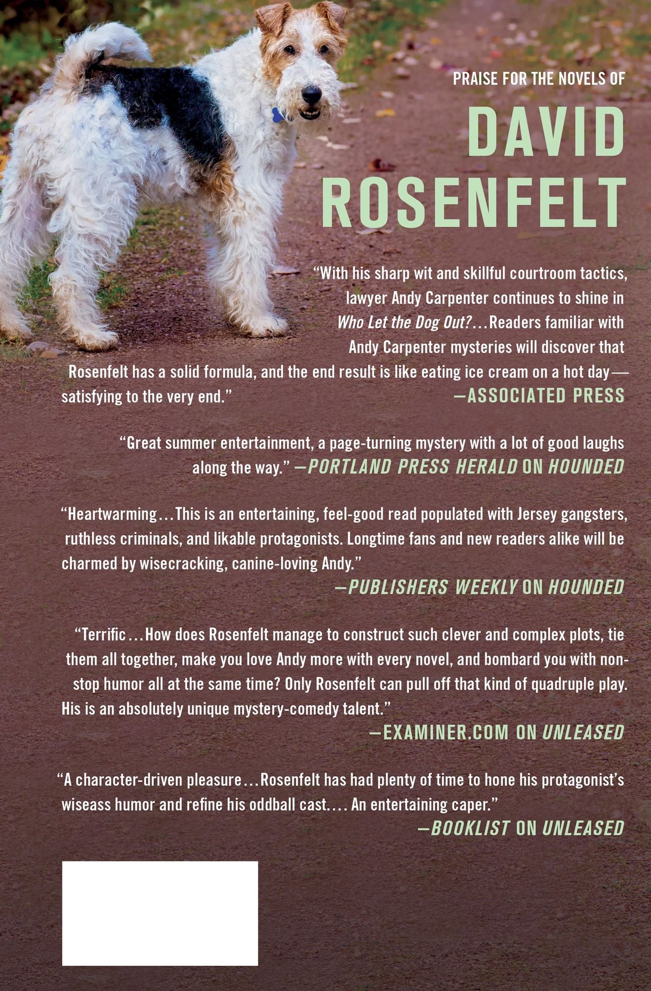 Outfoxed (Andy Carpenter Series #14)