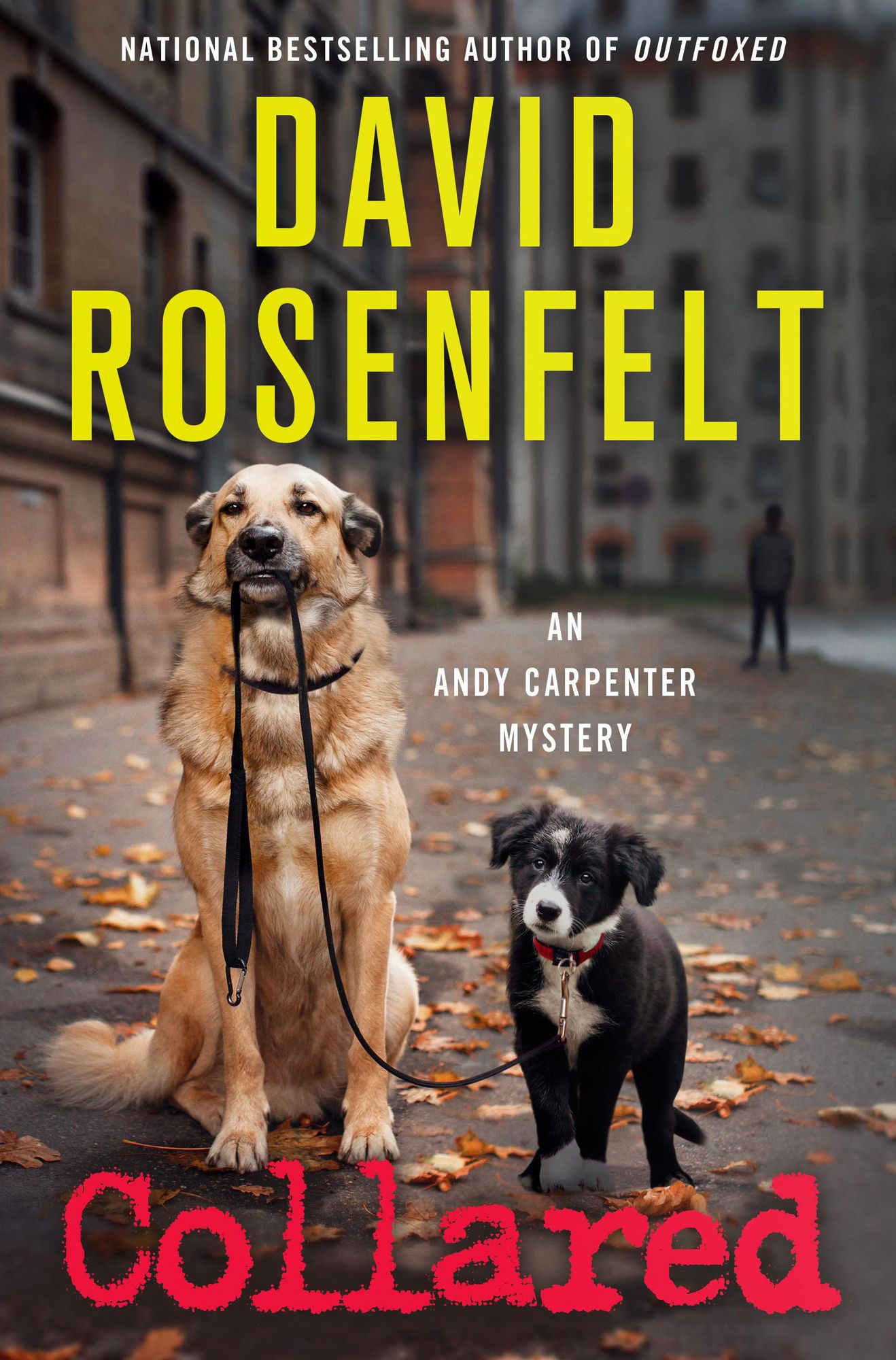 Collared (Andy Carpenter Series #15)