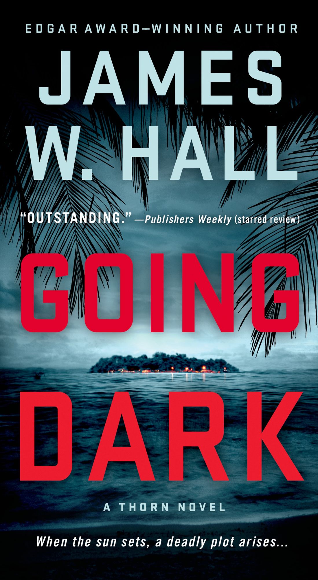 Going Dark (Thorn Series #13)