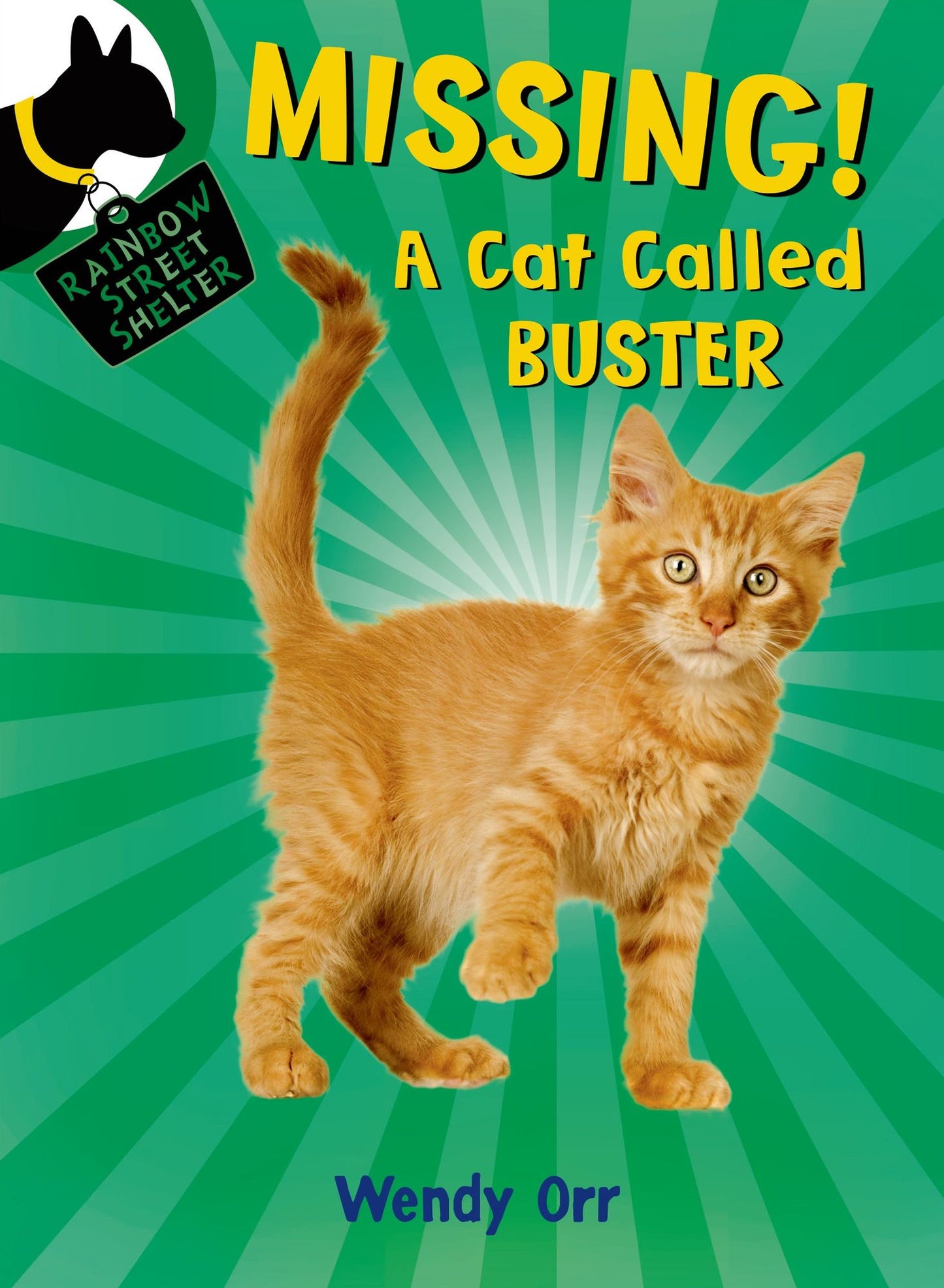 Missing! A Cat Called Buster (Rainbow Street Shelter Series #2)