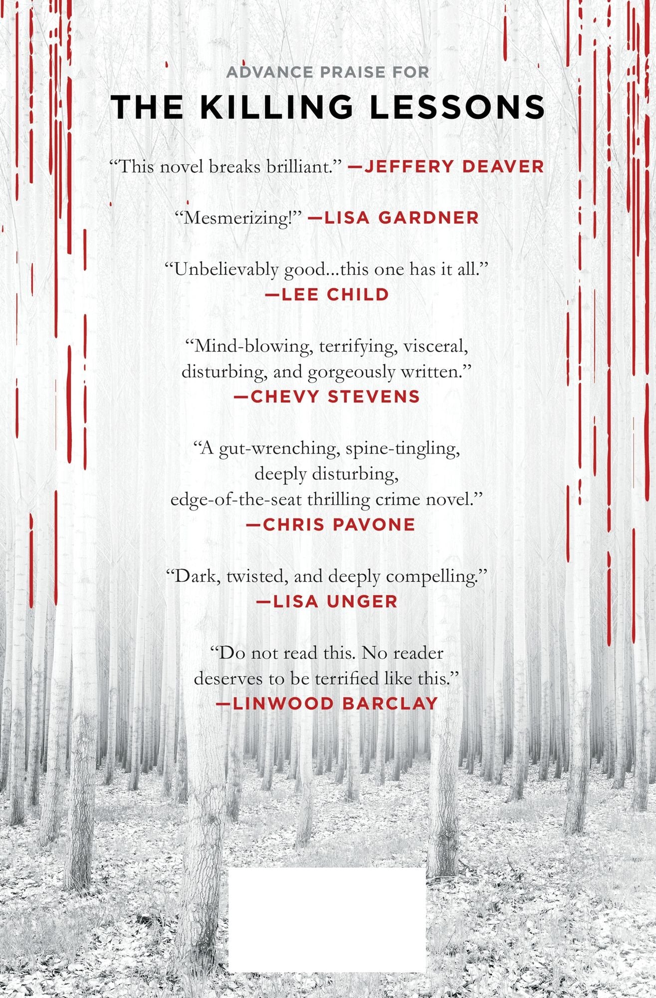 The Killing Lessons: A Novel