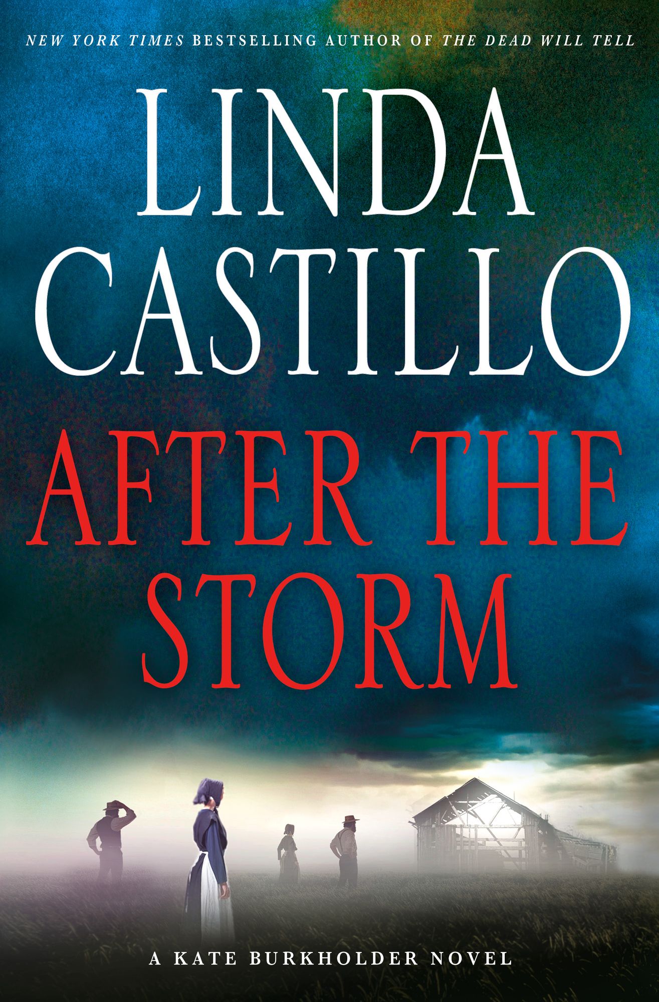 After the Storm : A Kate Burkholder Novel