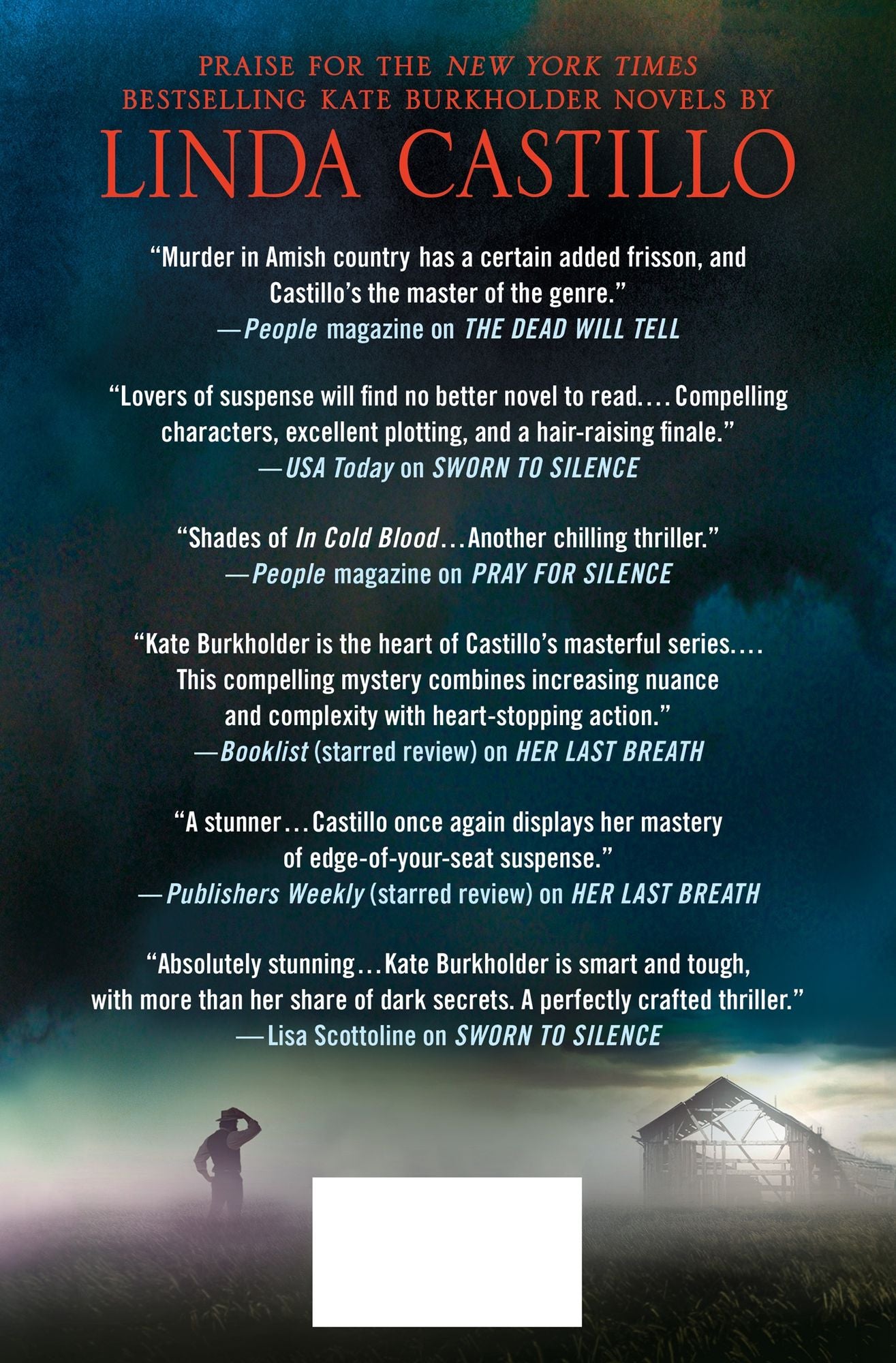 After the Storm : A Kate Burkholder Novel