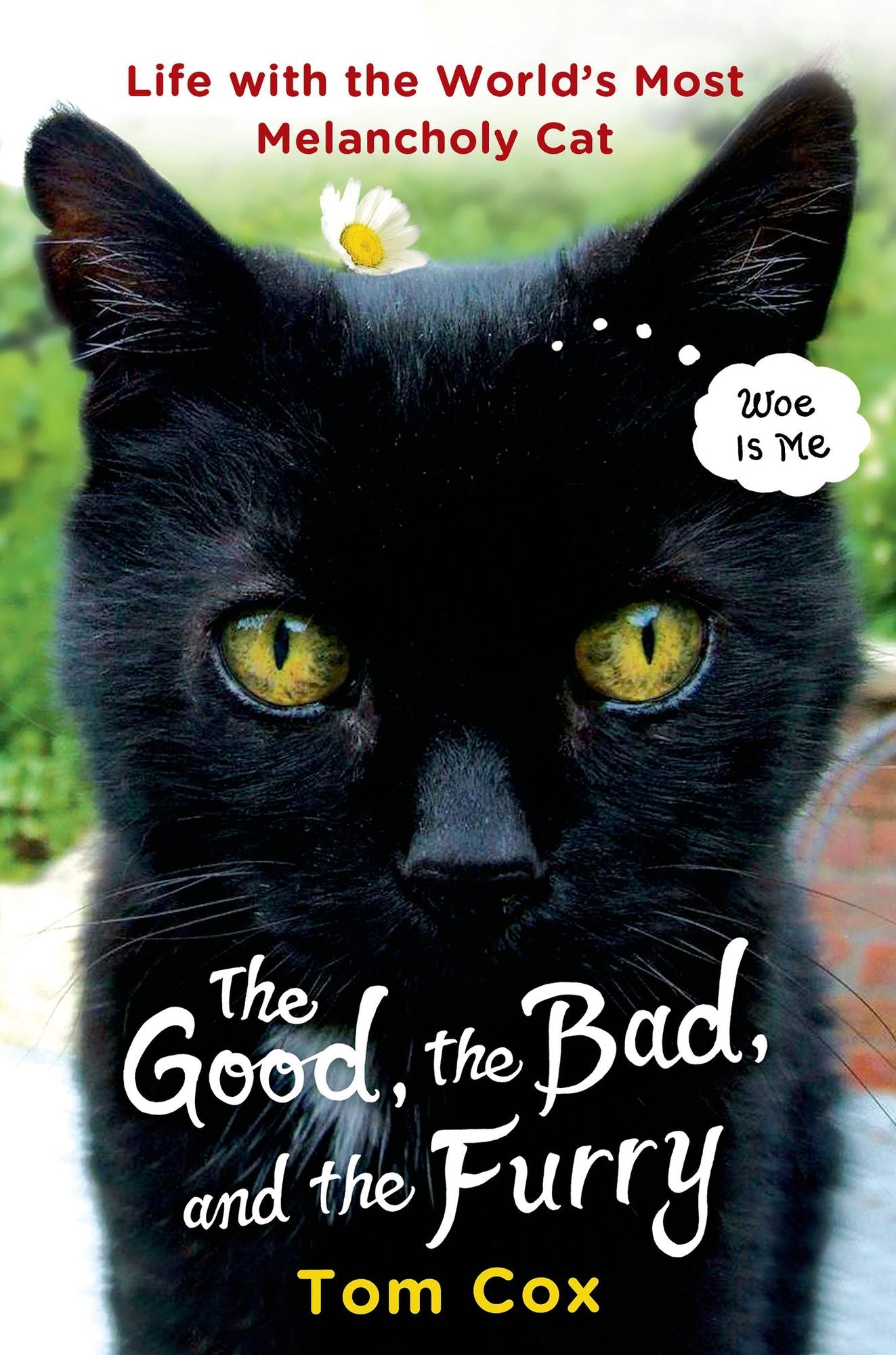 The Good, the Bad and the Furry : Life With the World's Most Melancholy Cat