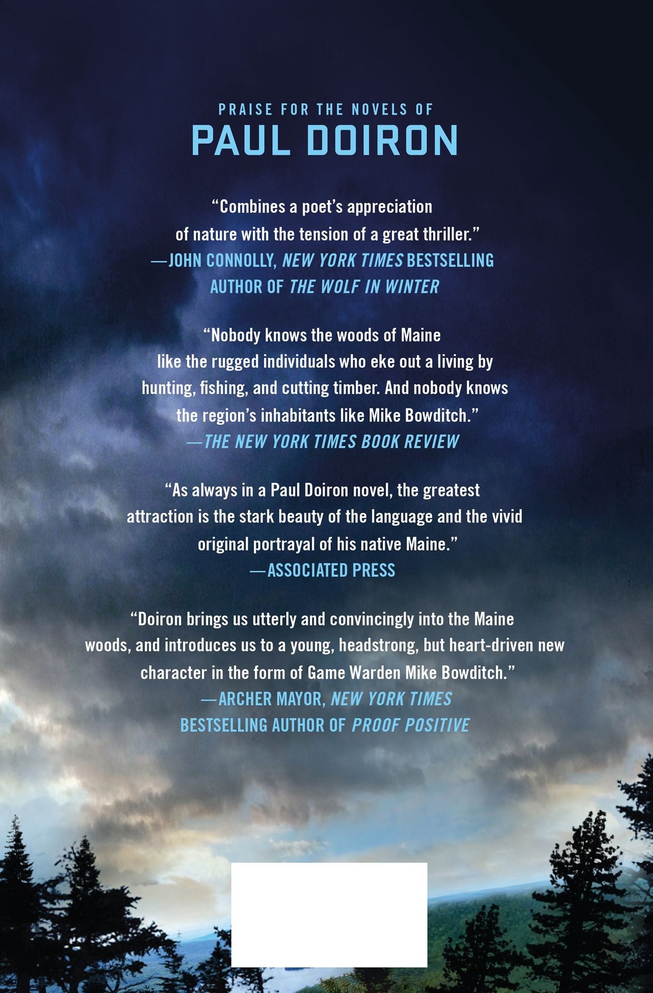 The Precipice (Mike Bowditch Series #6)