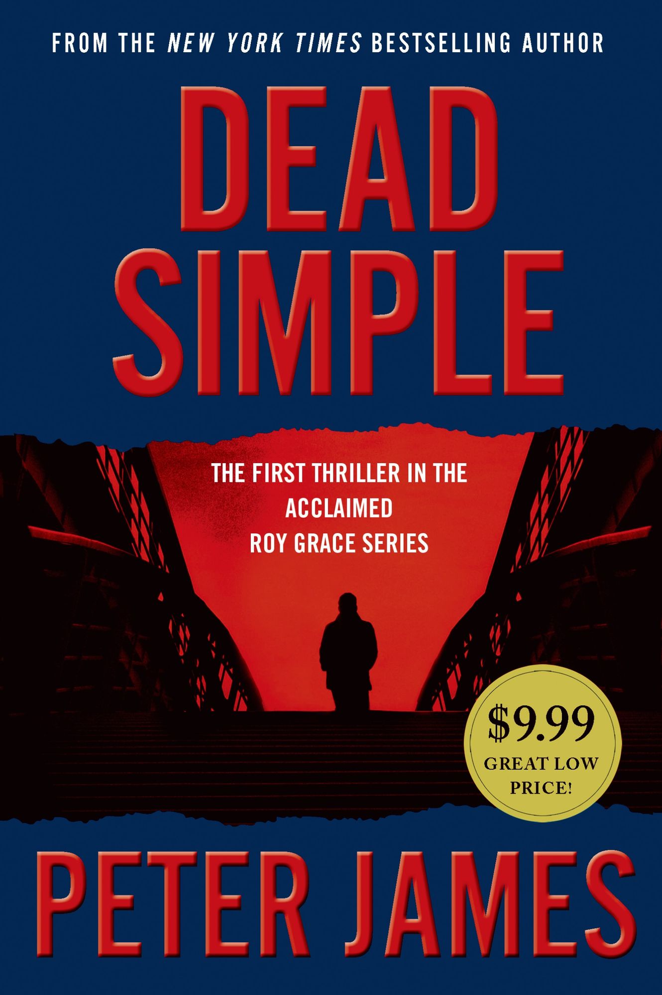 Dead Simple (Roy Grace Series #1)