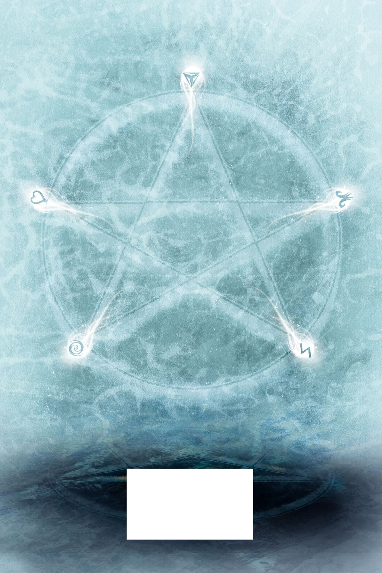 The Novice