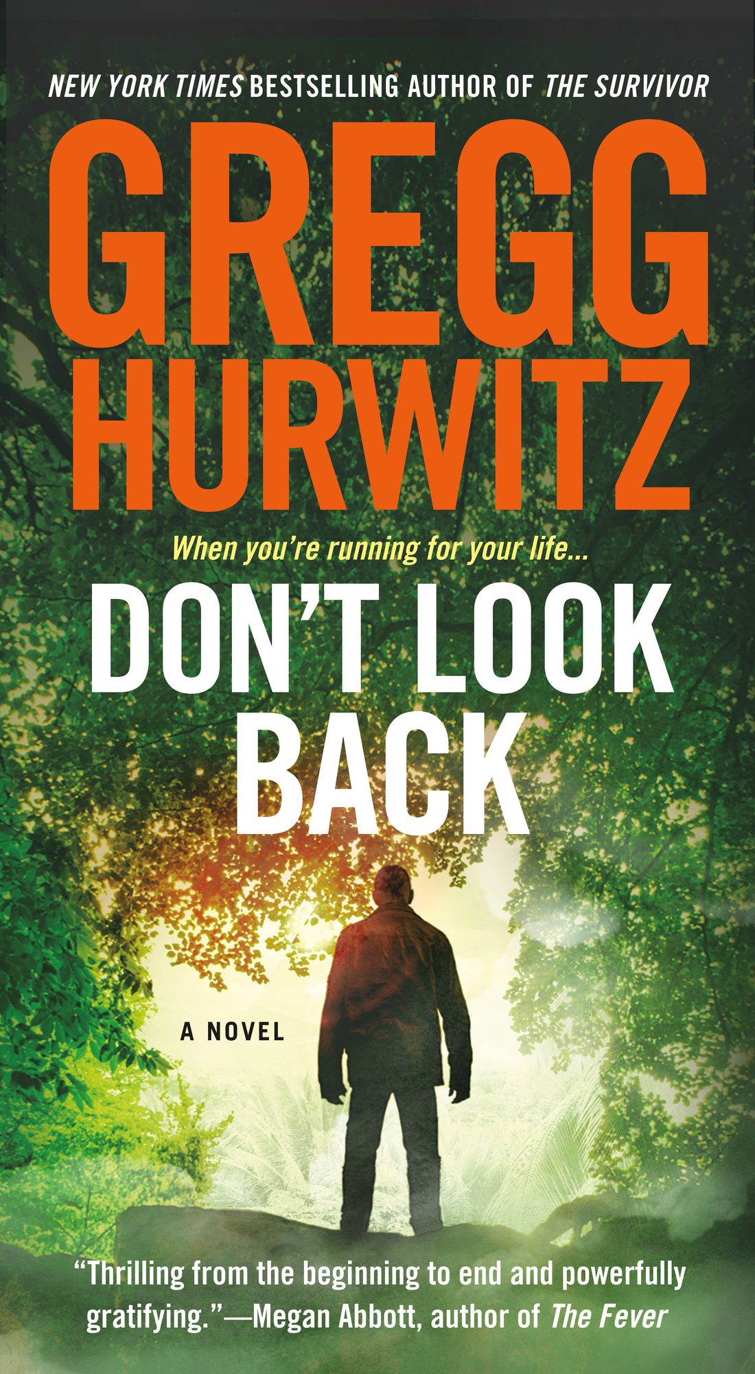 Don't Look Back: A Novel