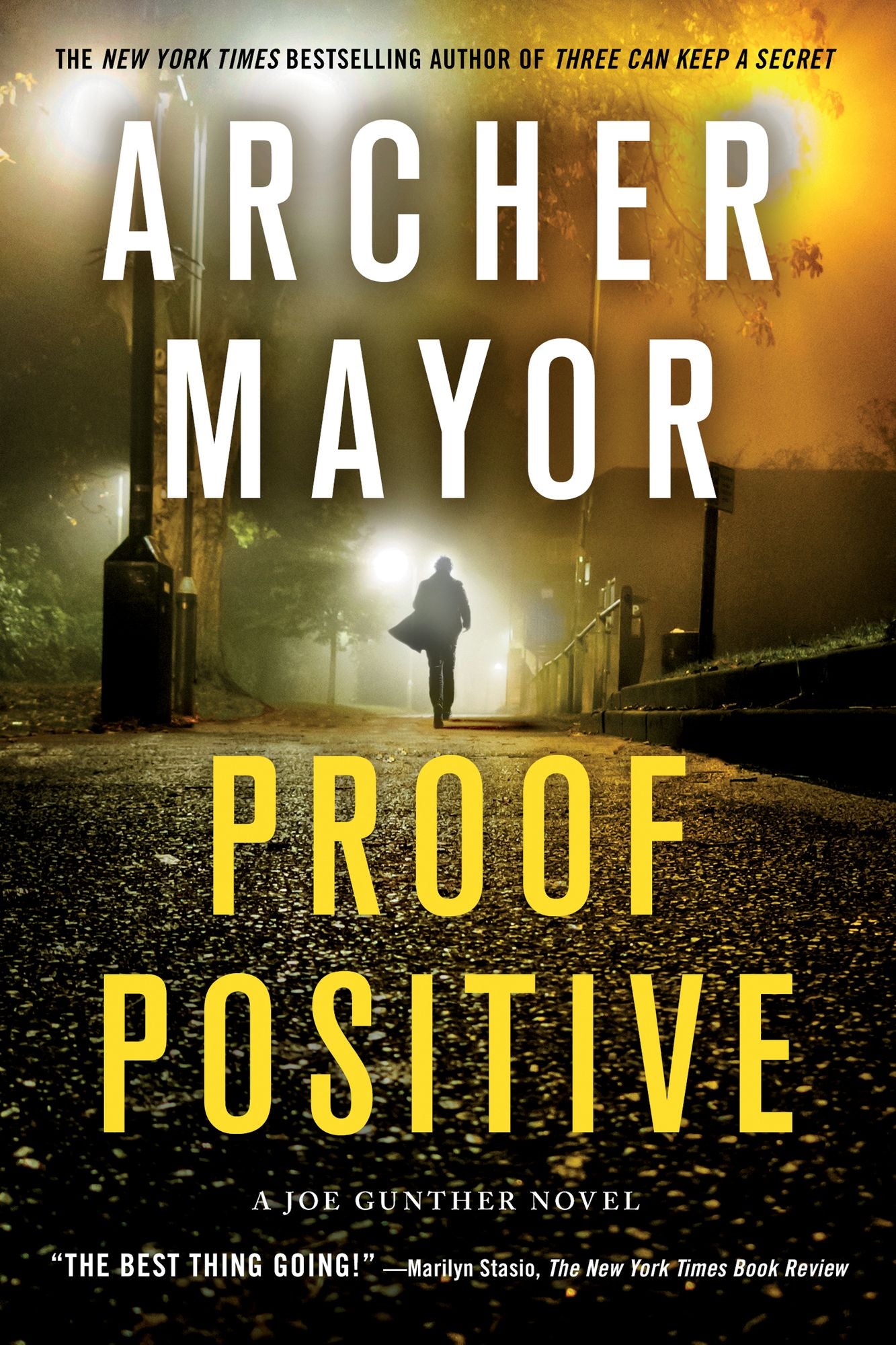 Proof Positive (Joe Gunther Series #25)