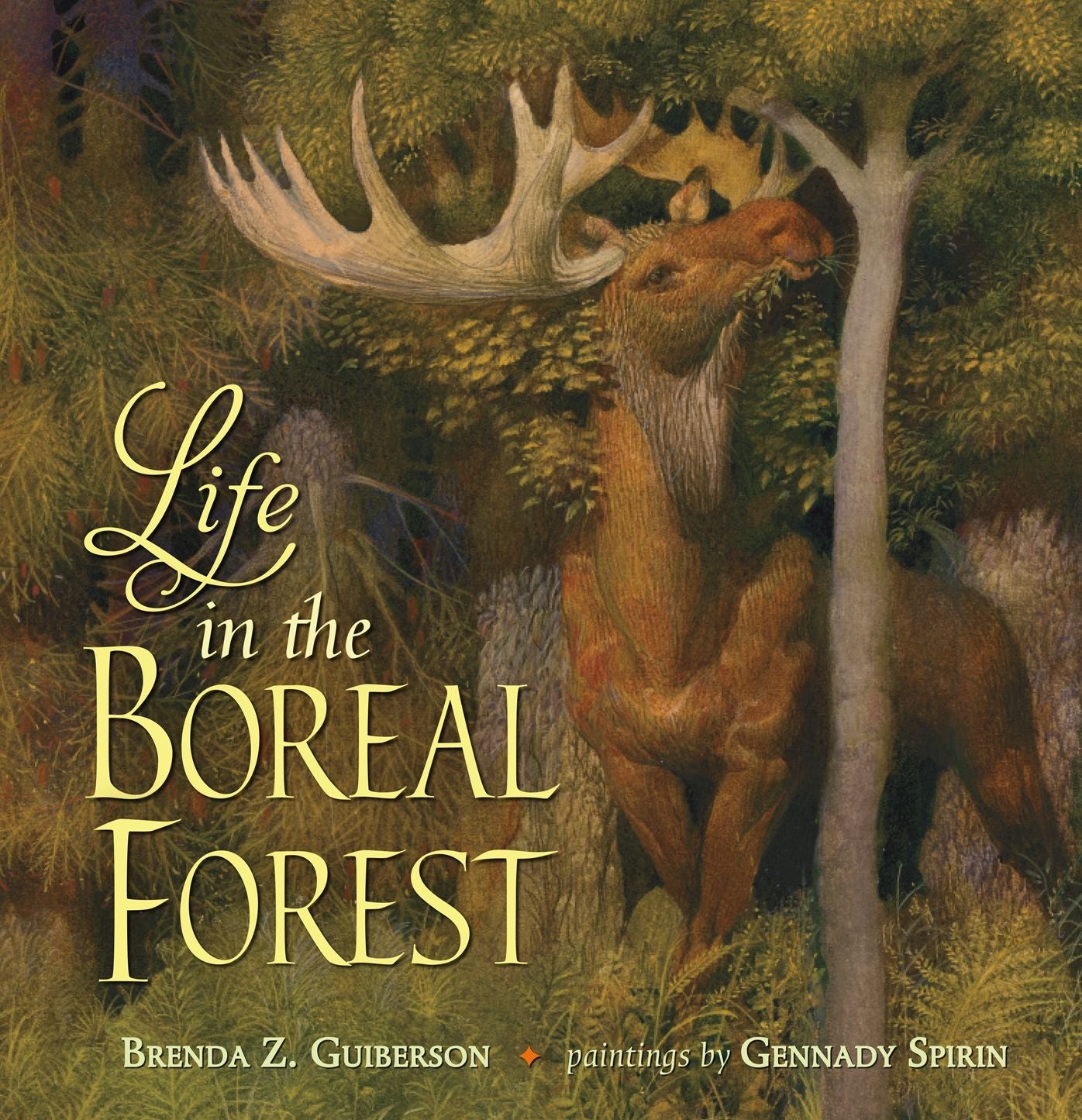 Life in the Boreal Forest