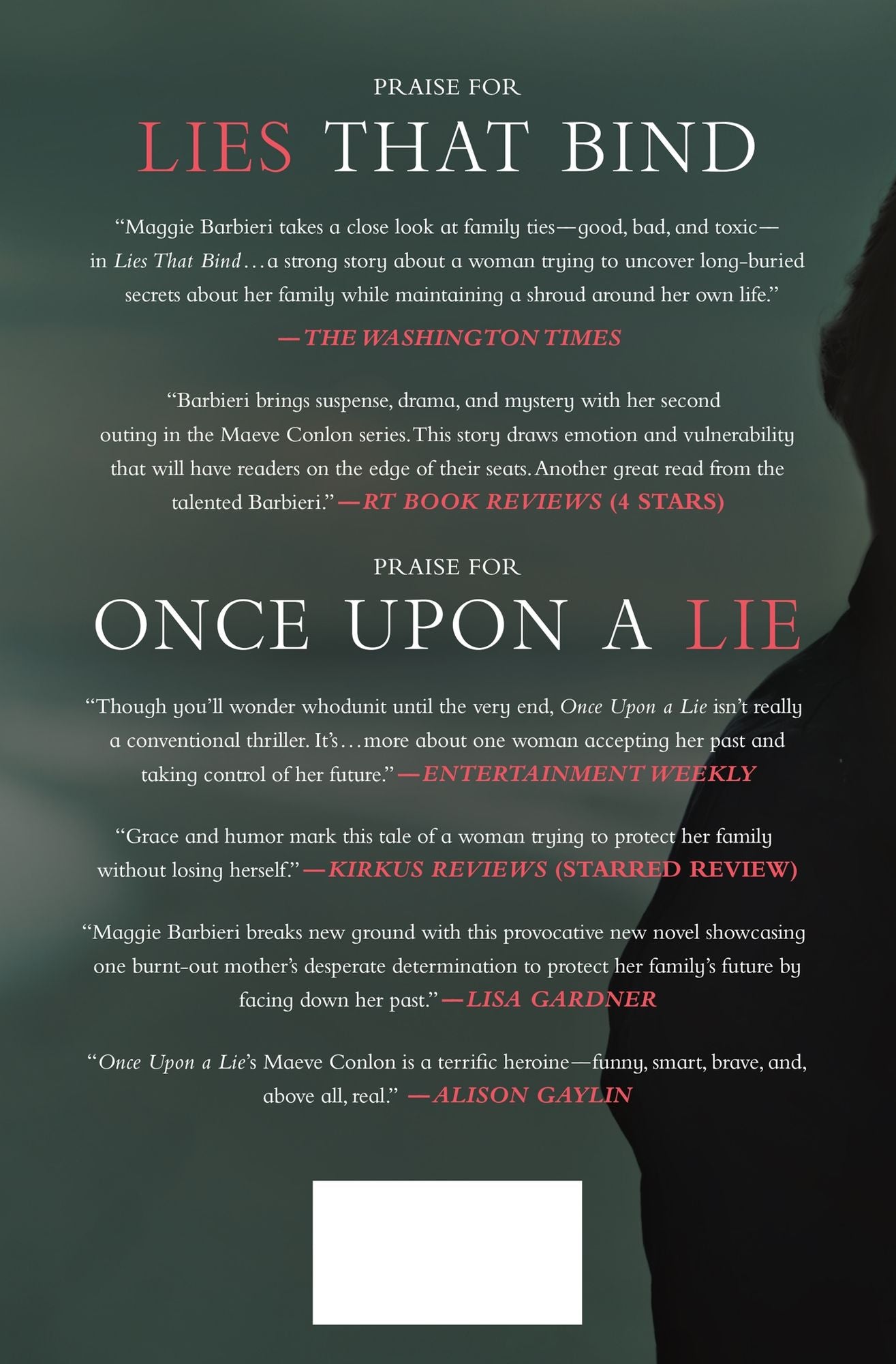 Lie in Plain Sight (Maeve Conlon Series #3)