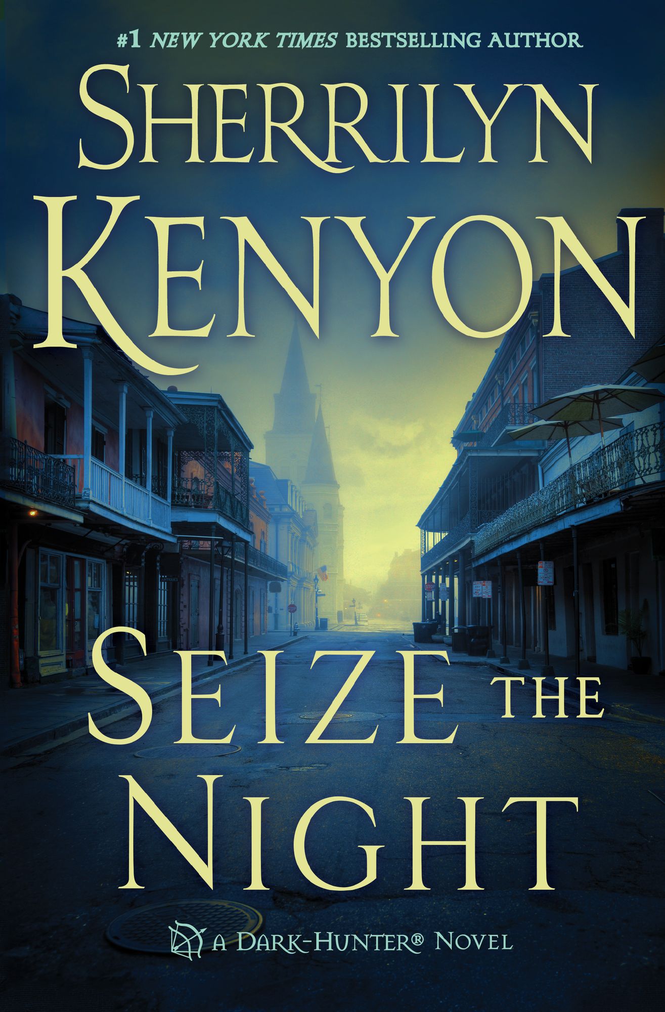 Seize the Night (Dark-Hunter Series #6)