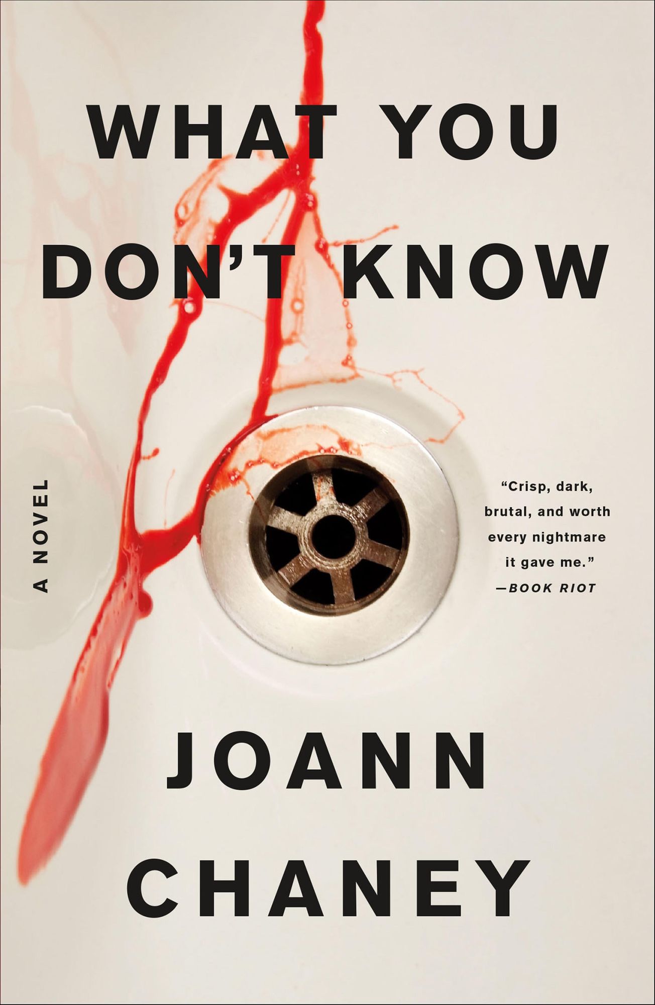 What You Don't Know: A Novel