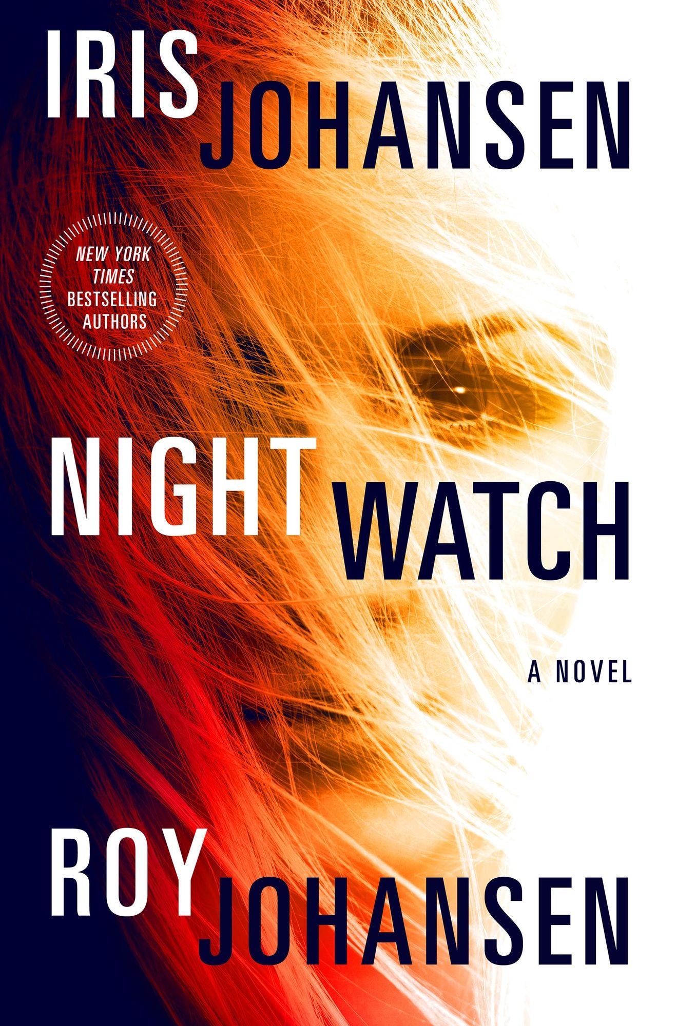 Night Watch (Kendra Michaels Series #4)