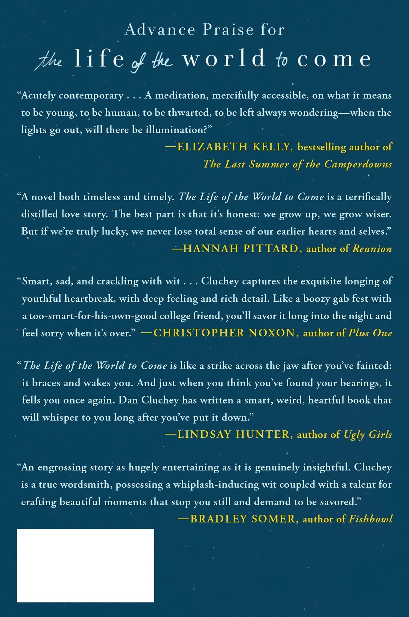 The Life of the World to Come: A Novel