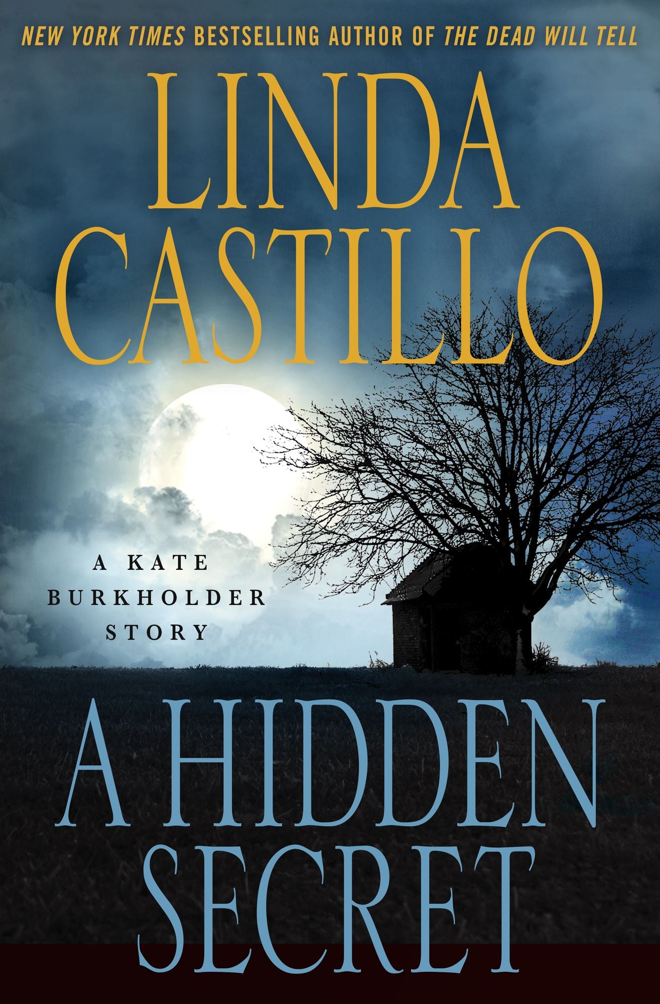 A Hidden Secret: A Kate Burkholder Short Story