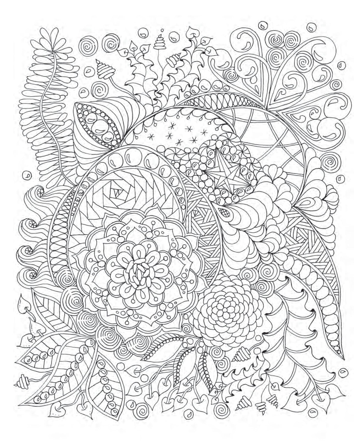 Zendoodle Coloring: Enchanting Gardens: Captivating Florals to Color and Display