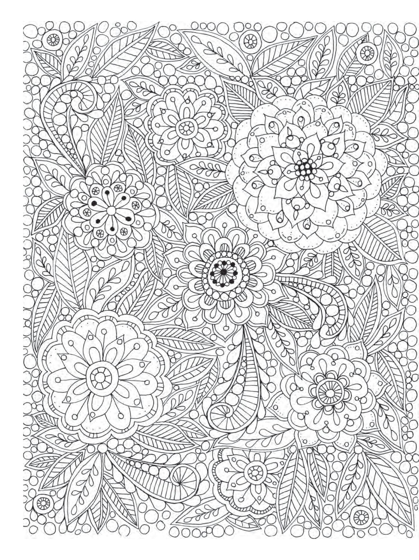 Zendoodle Coloring: Enchanting Gardens: Captivating Florals to Color and Display