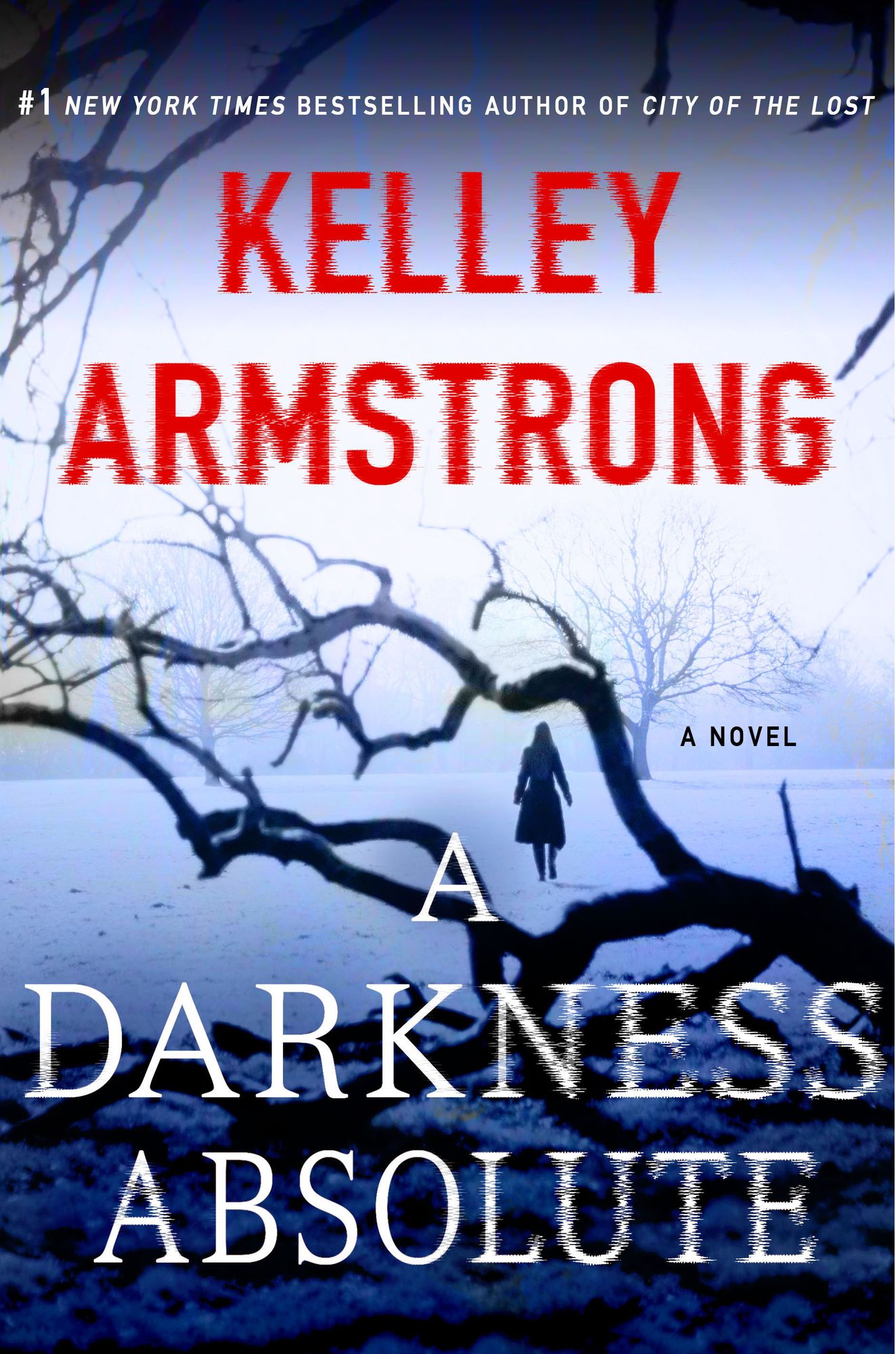 A Darkness Absolute (Casey Duncan Series #2)