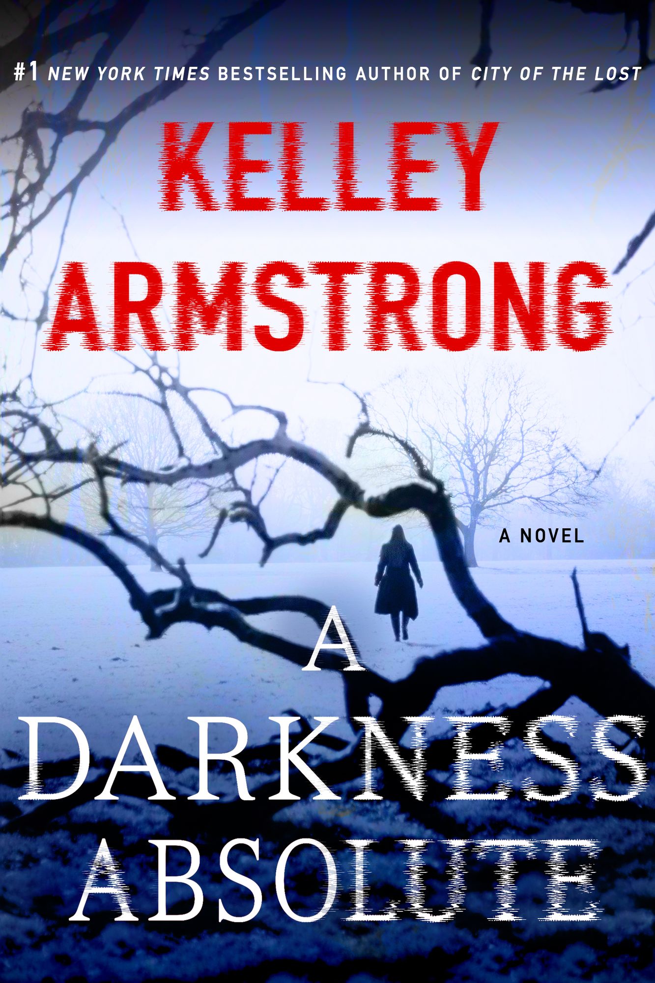 A Darkness Absolute: A Novel