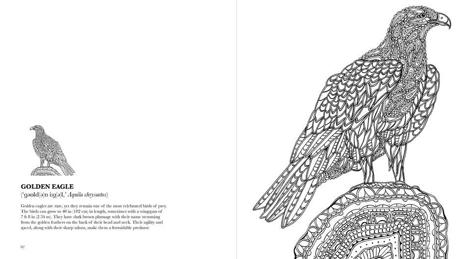 Birds: A Mindful Coloring Book