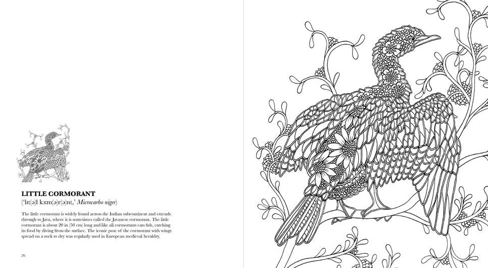 Birds: A Mindful Coloring Book