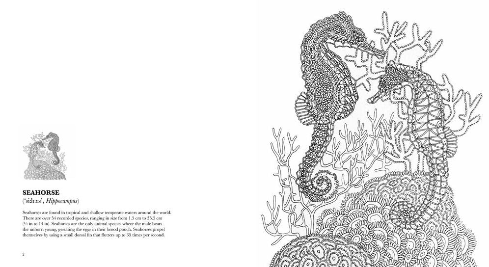 Waterlife: A Mindful Coloring Book