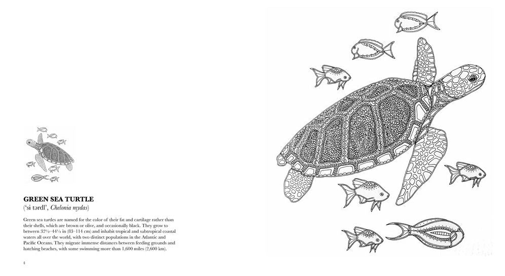 Waterlife: A Mindful Coloring Book