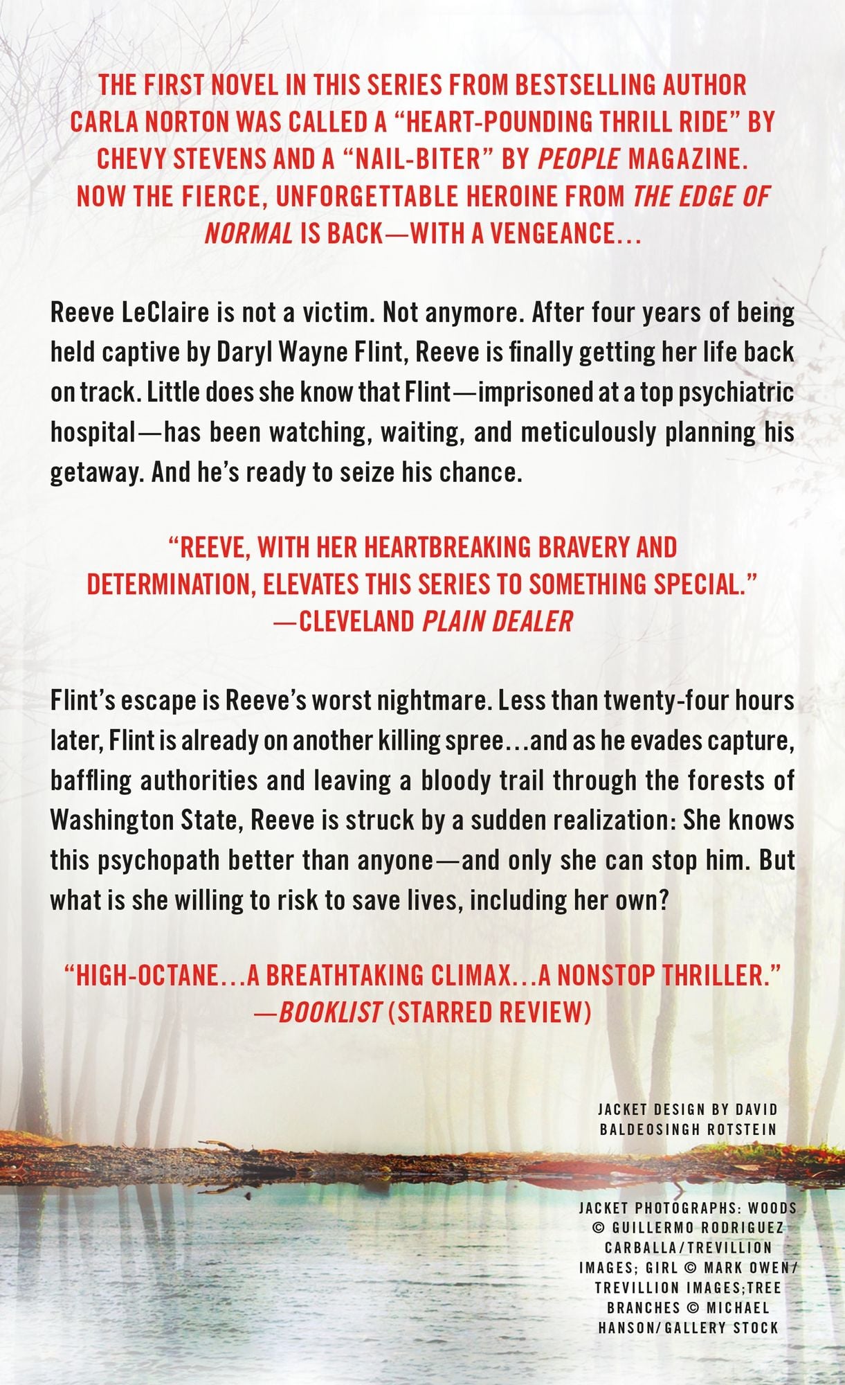 What Doesn't Kill Her: A Novel