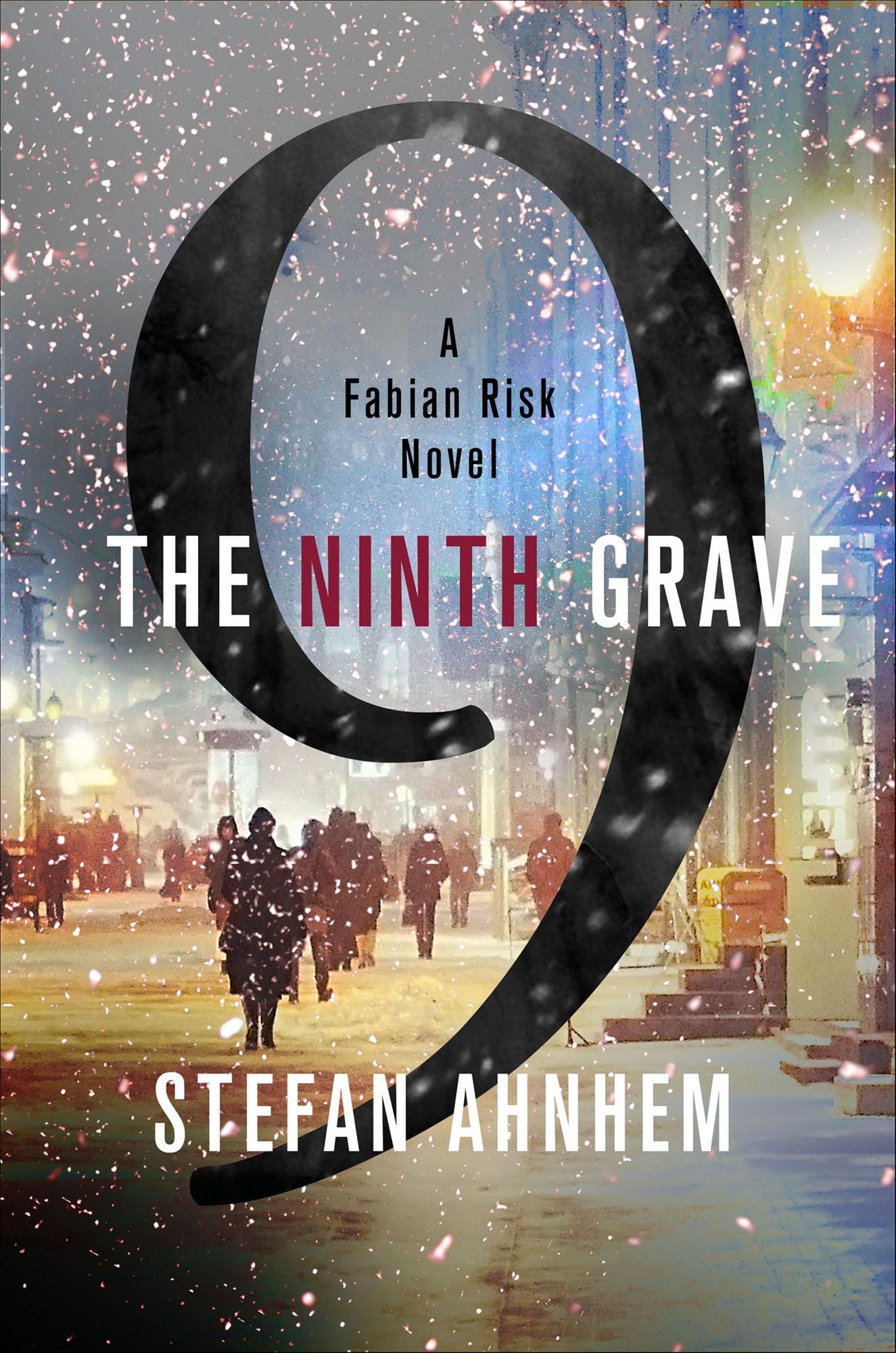 The Ninth Grave (Fabian Risk Series #2)