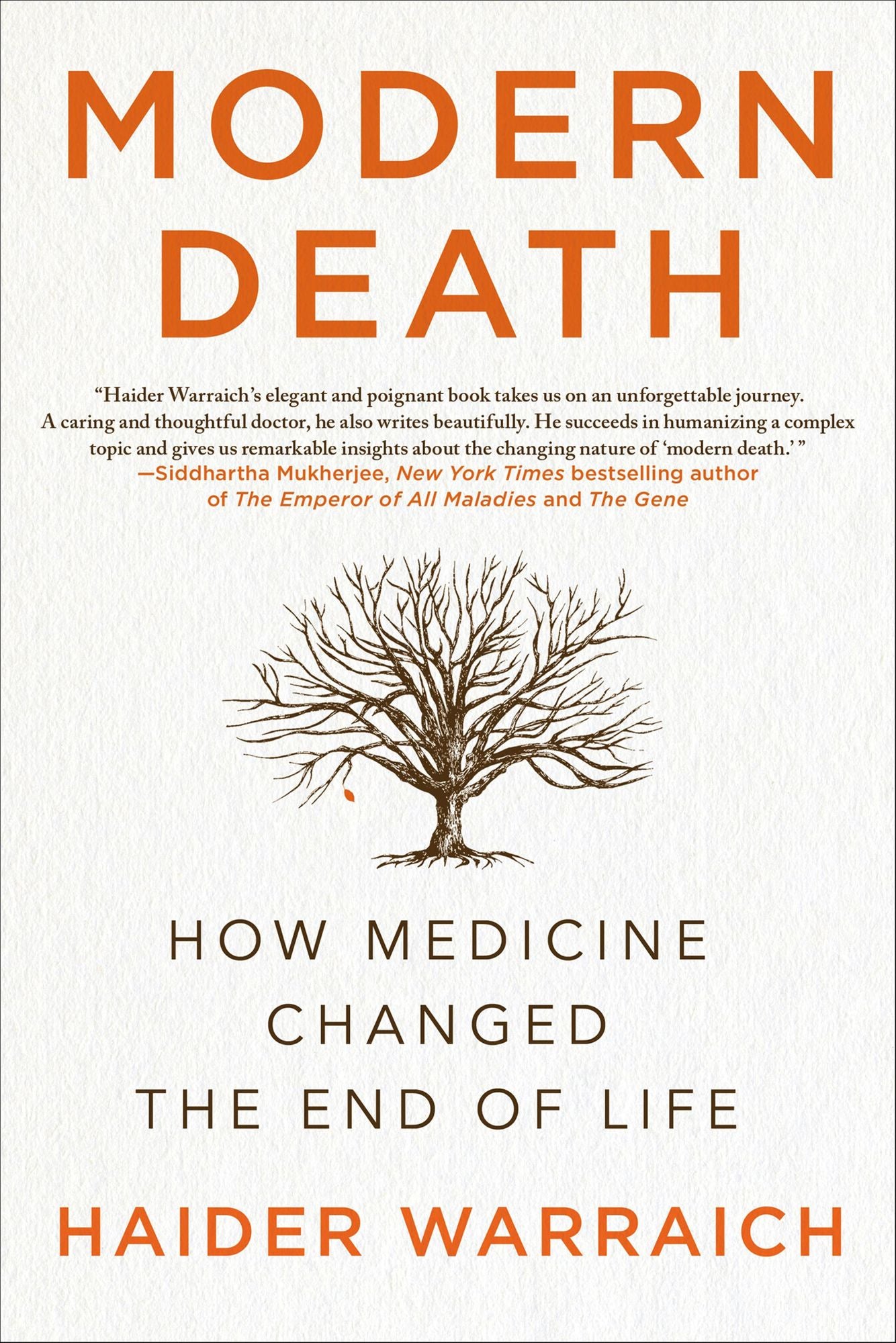 Modern Death: How Medicine Changed the End of Life