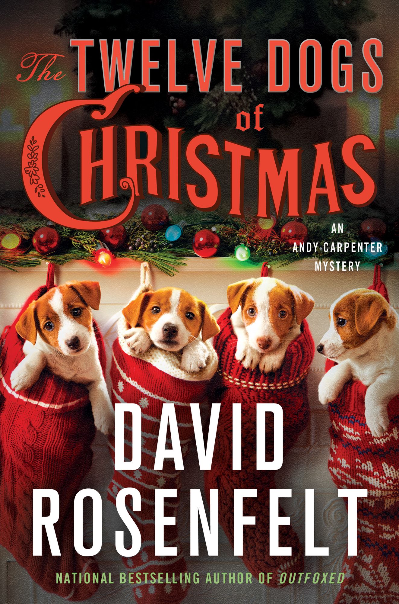 The Twelve Dogs of Christmas (Andy Carpenter Series #15)