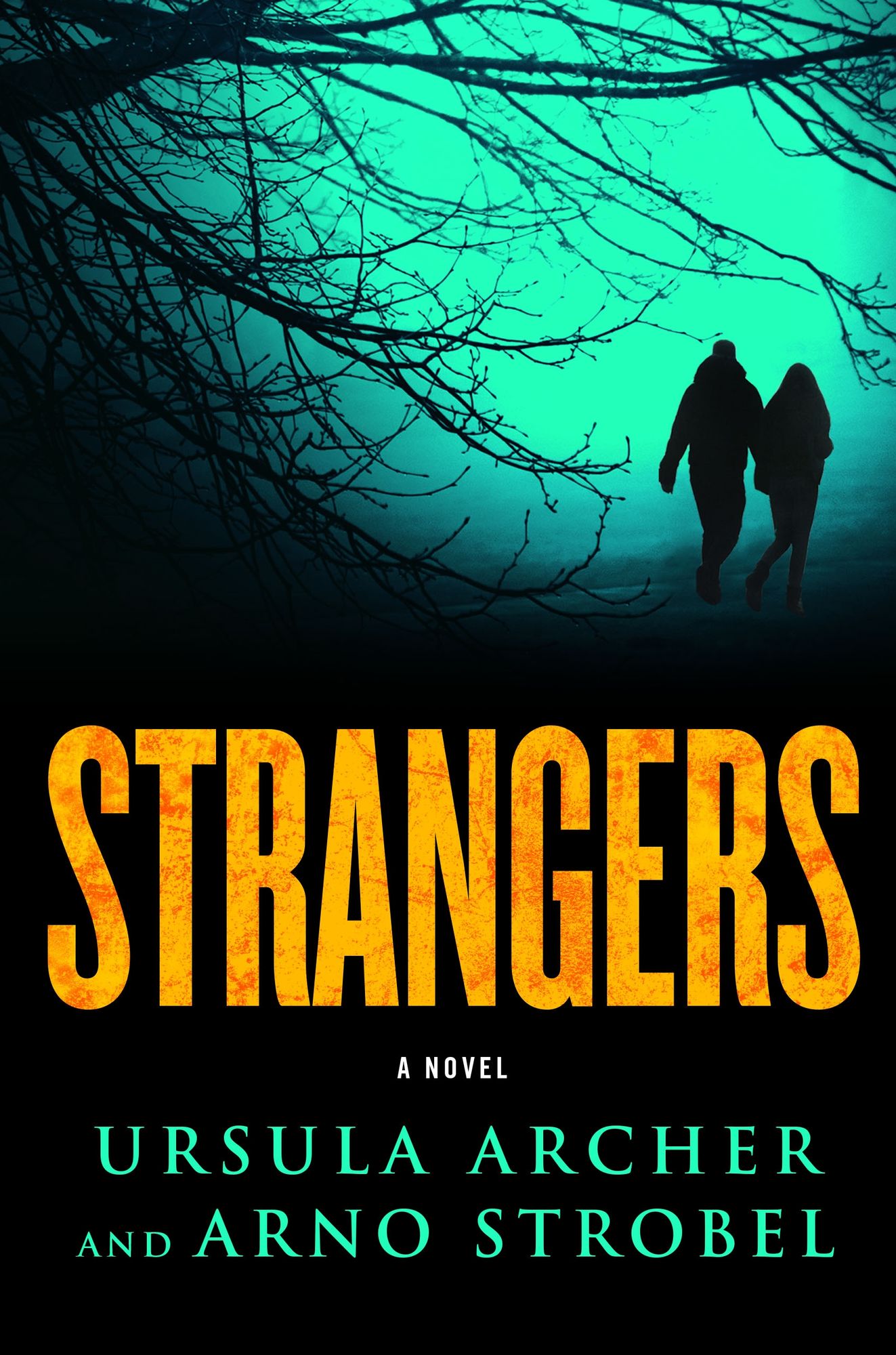 Strangers: A Novel