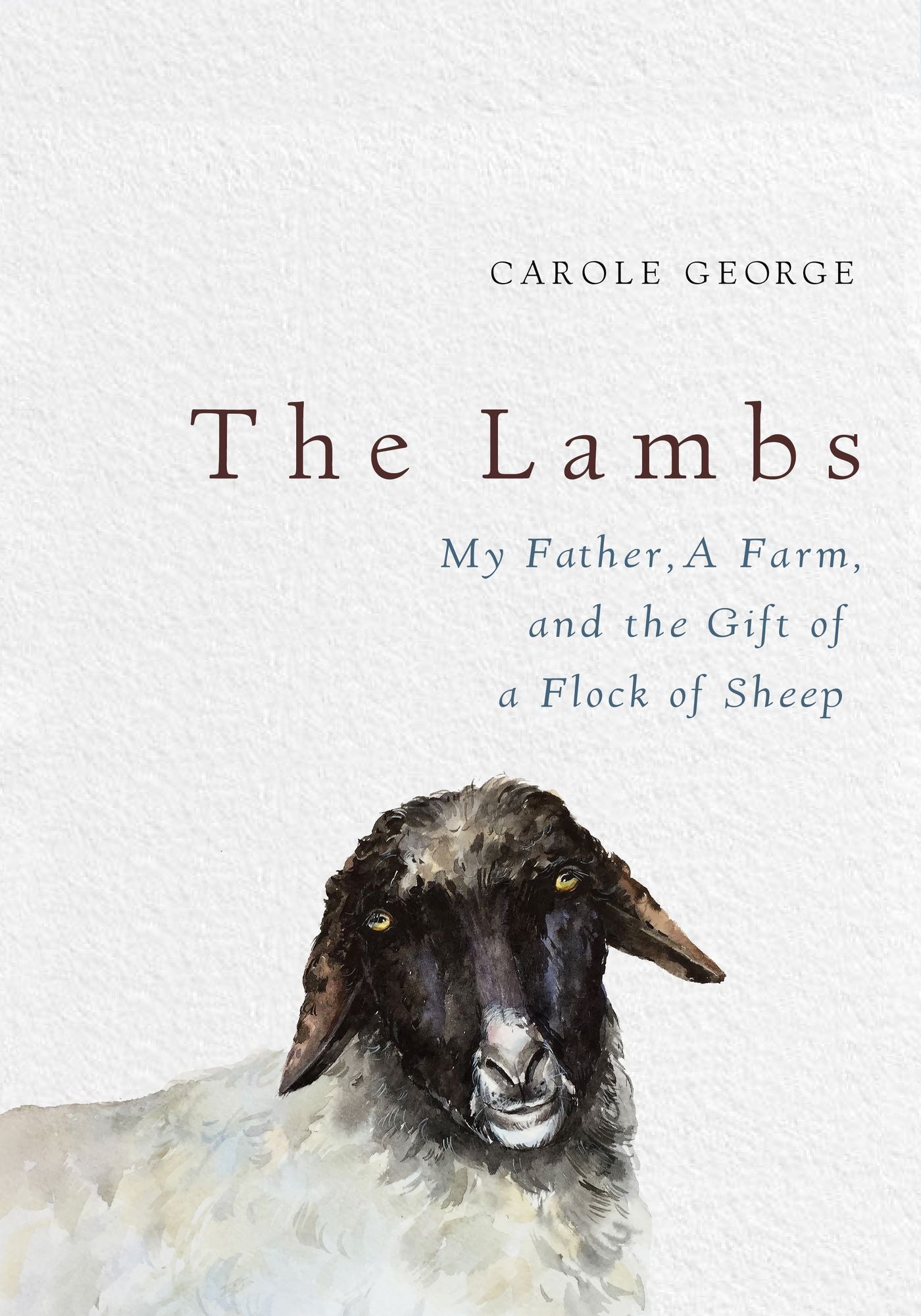 The Lambs: My Father, a Farm, and the Gift of a Flock of Sheep