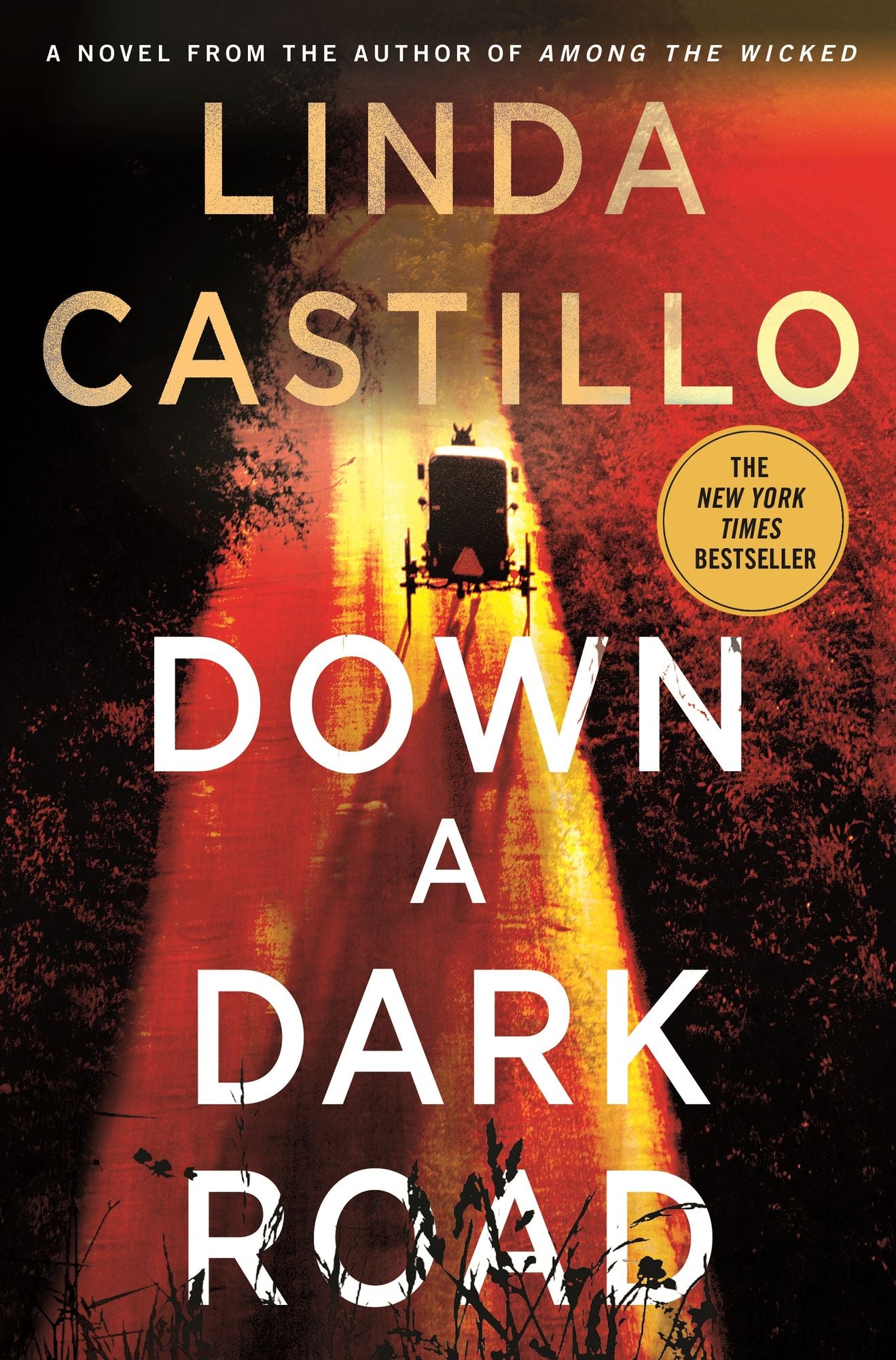 Down a Dark Road (Kate Burkholder Series #9)