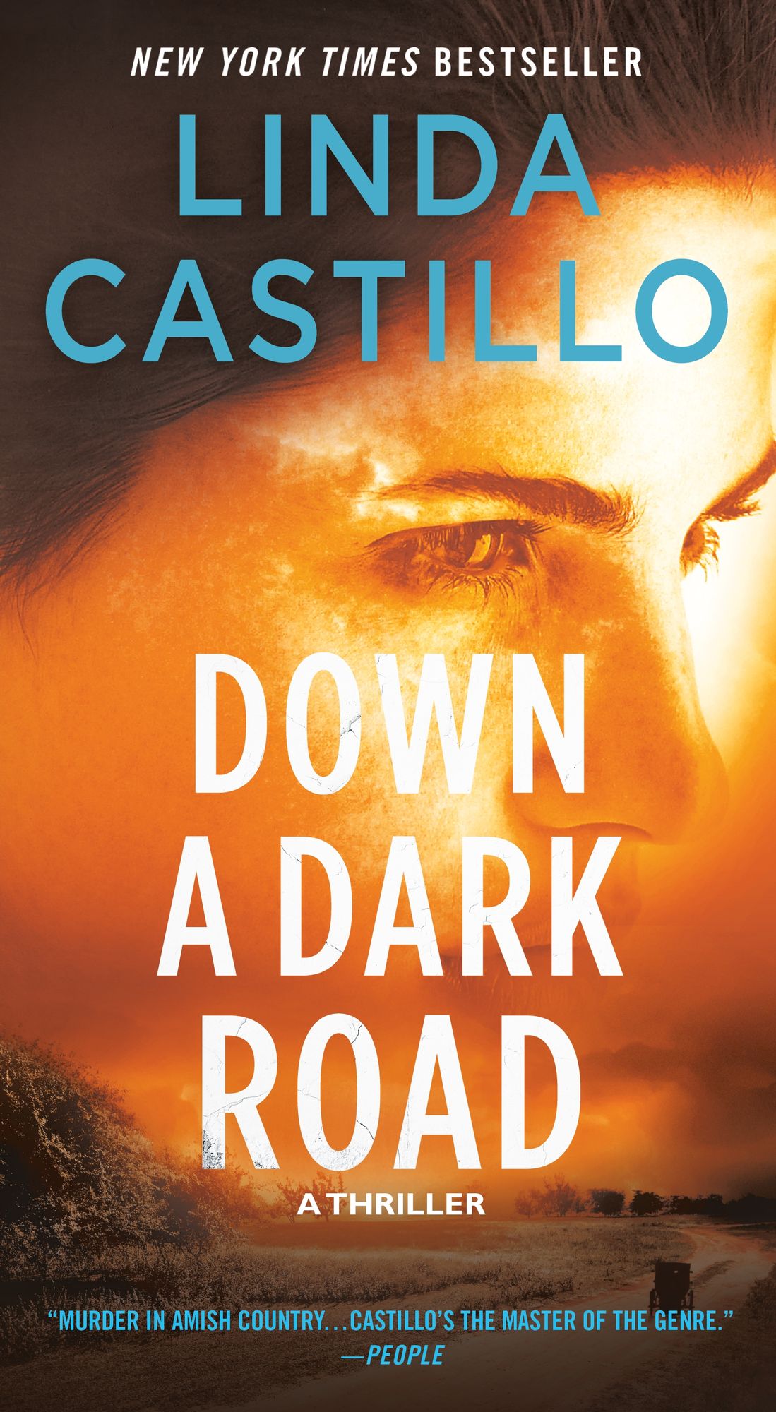 Down a Dark Road (Kate Burkholder Series #9)
